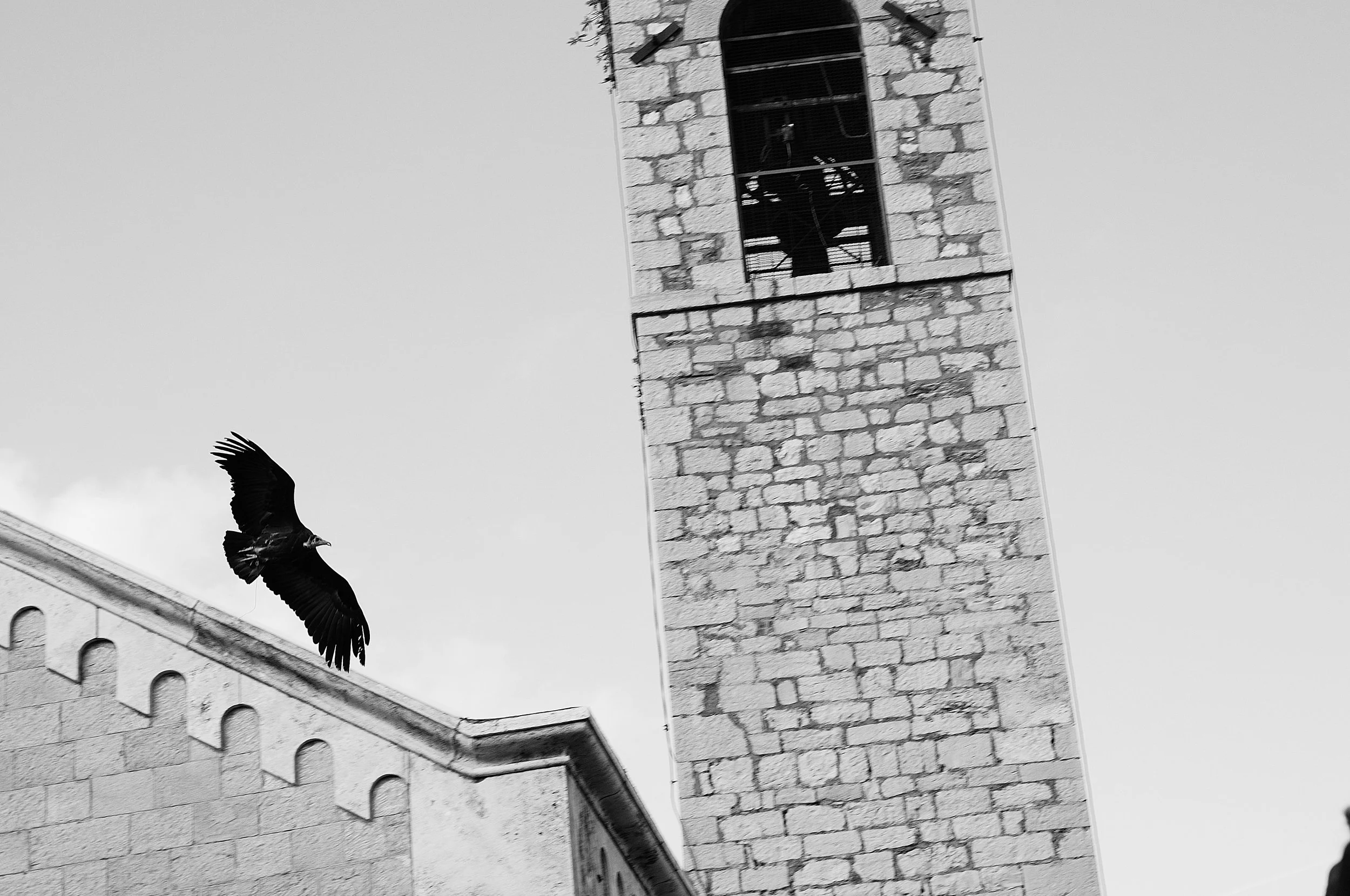 a cavallo a carnevale_5186.JPG