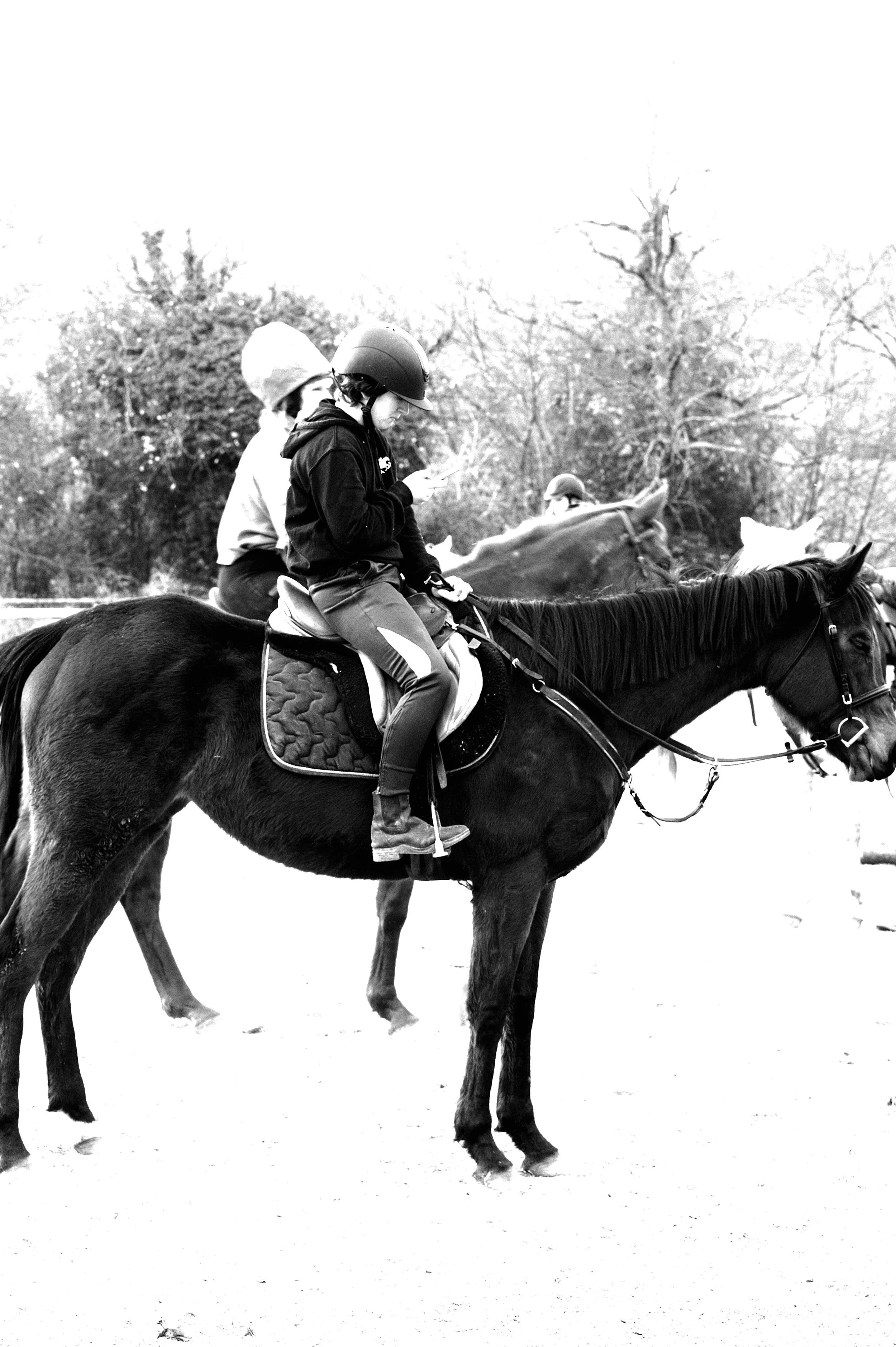 a cavallo a carnevale_4657.JPG