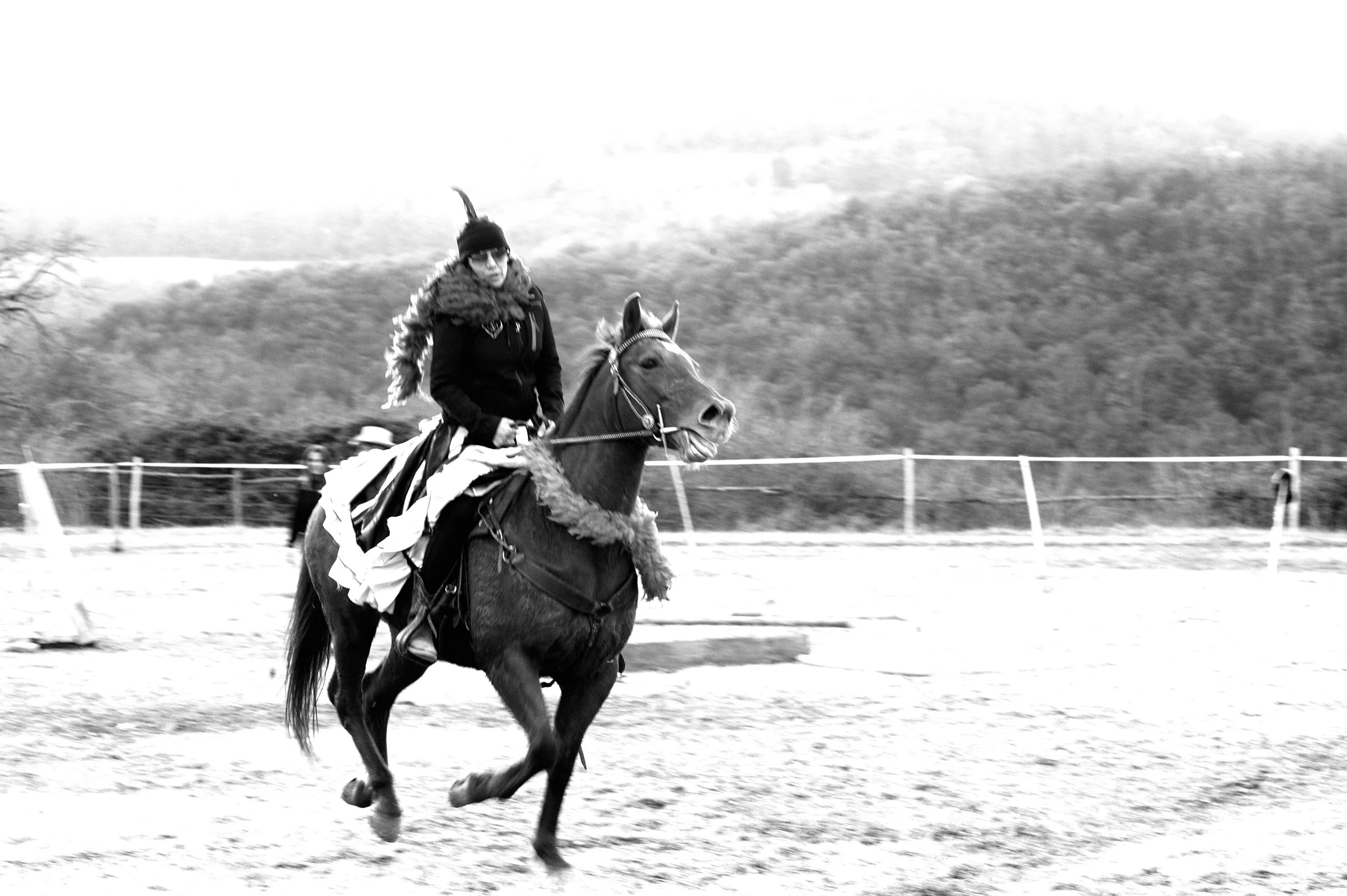 a cavallo a carnevale_4649.JPG