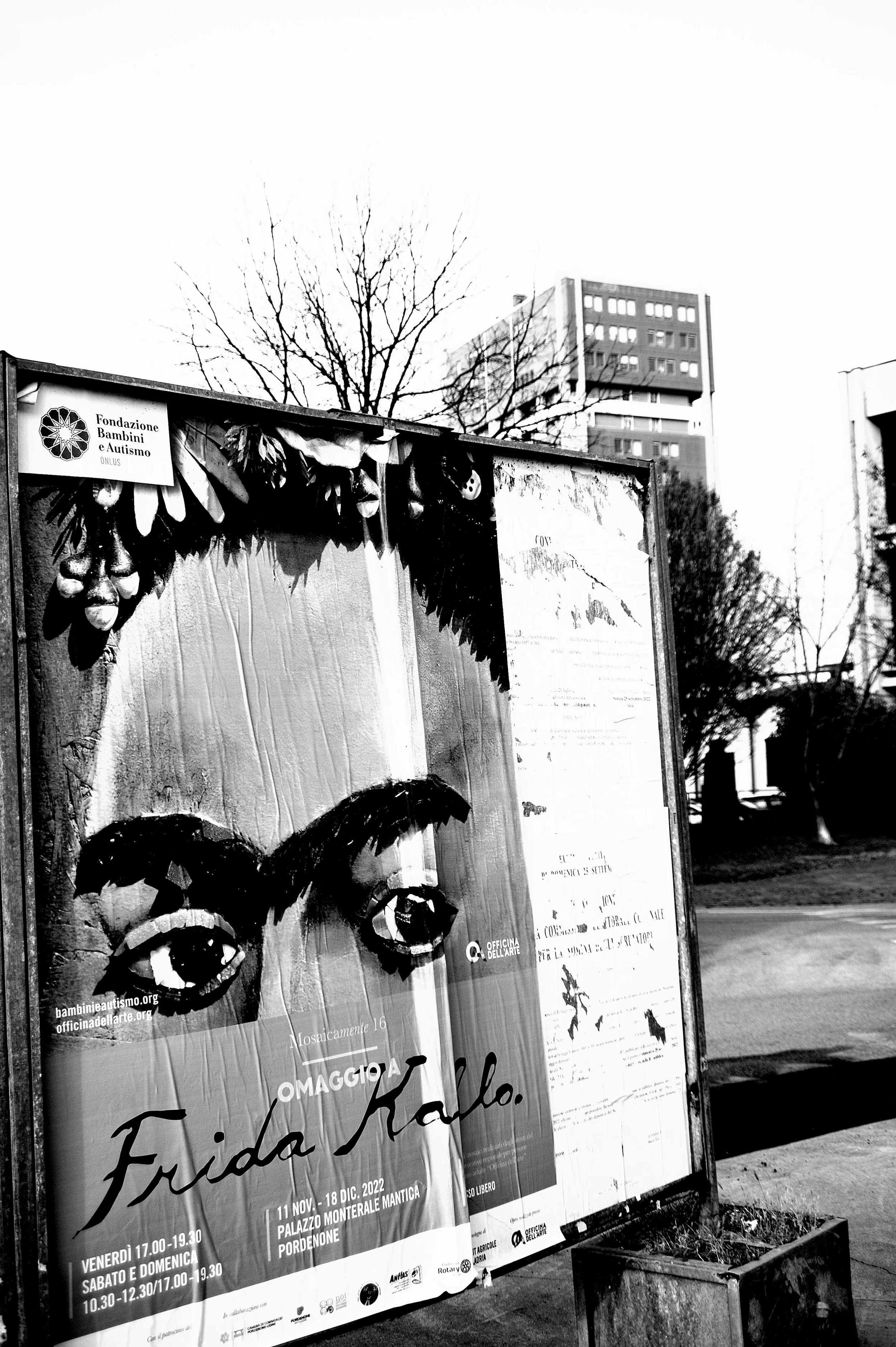 a cavallo a carnevale_4749.JPG