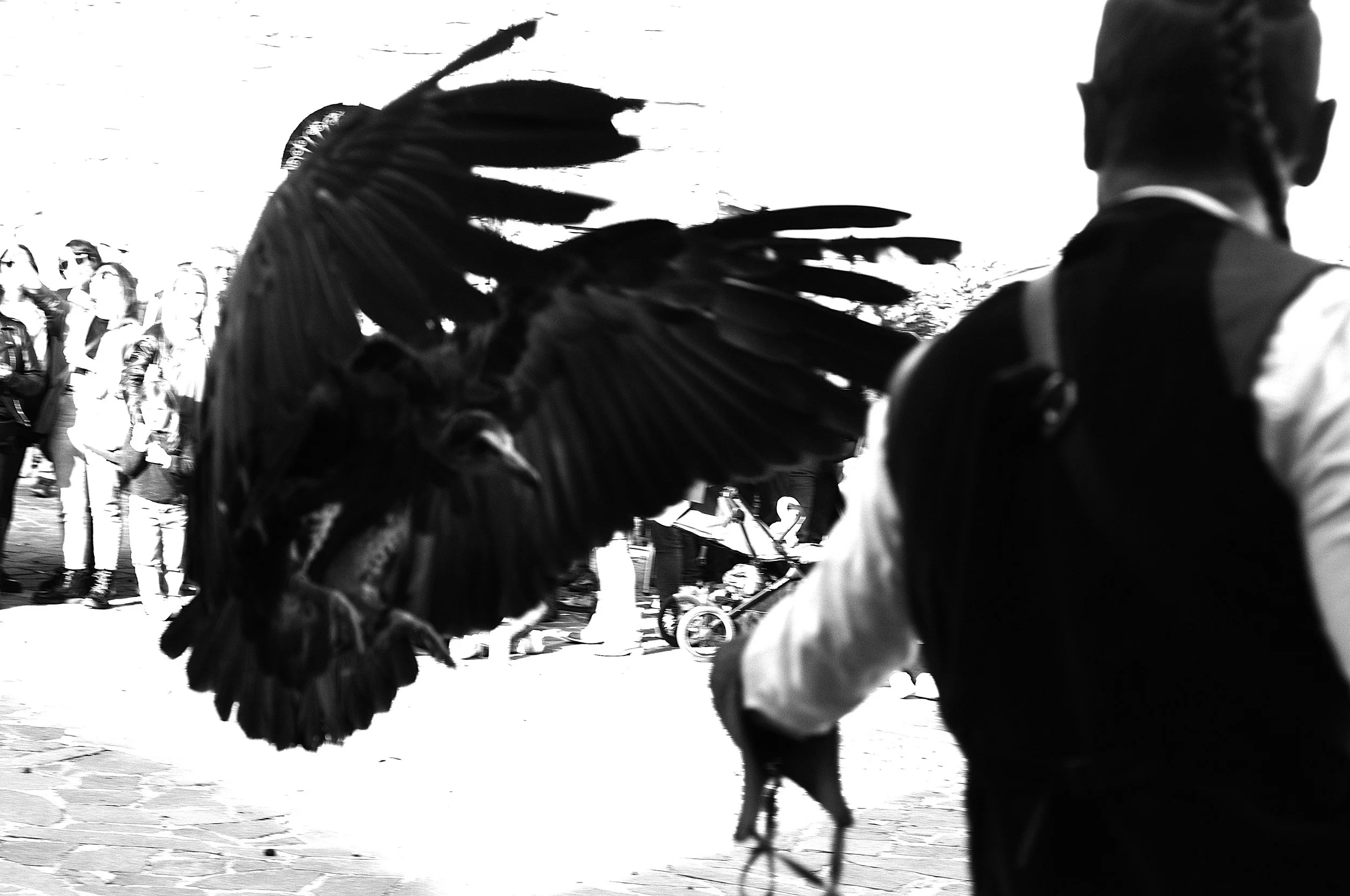 a cavallo a carnevale_5177.JPG