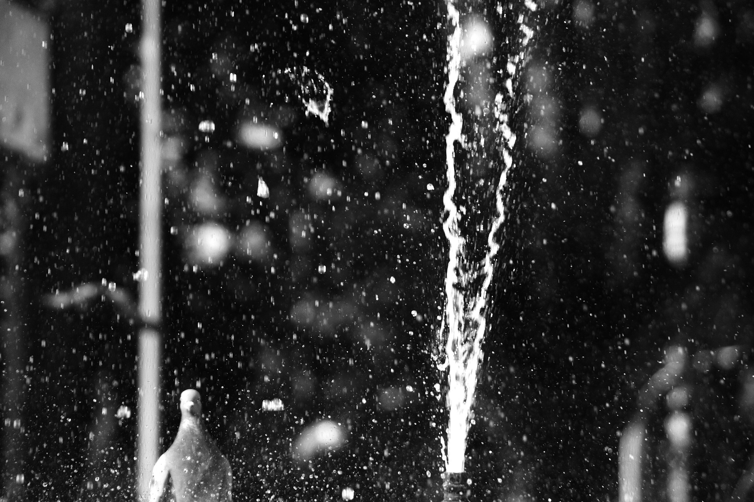 montesacro, case e gente_6111.JPG