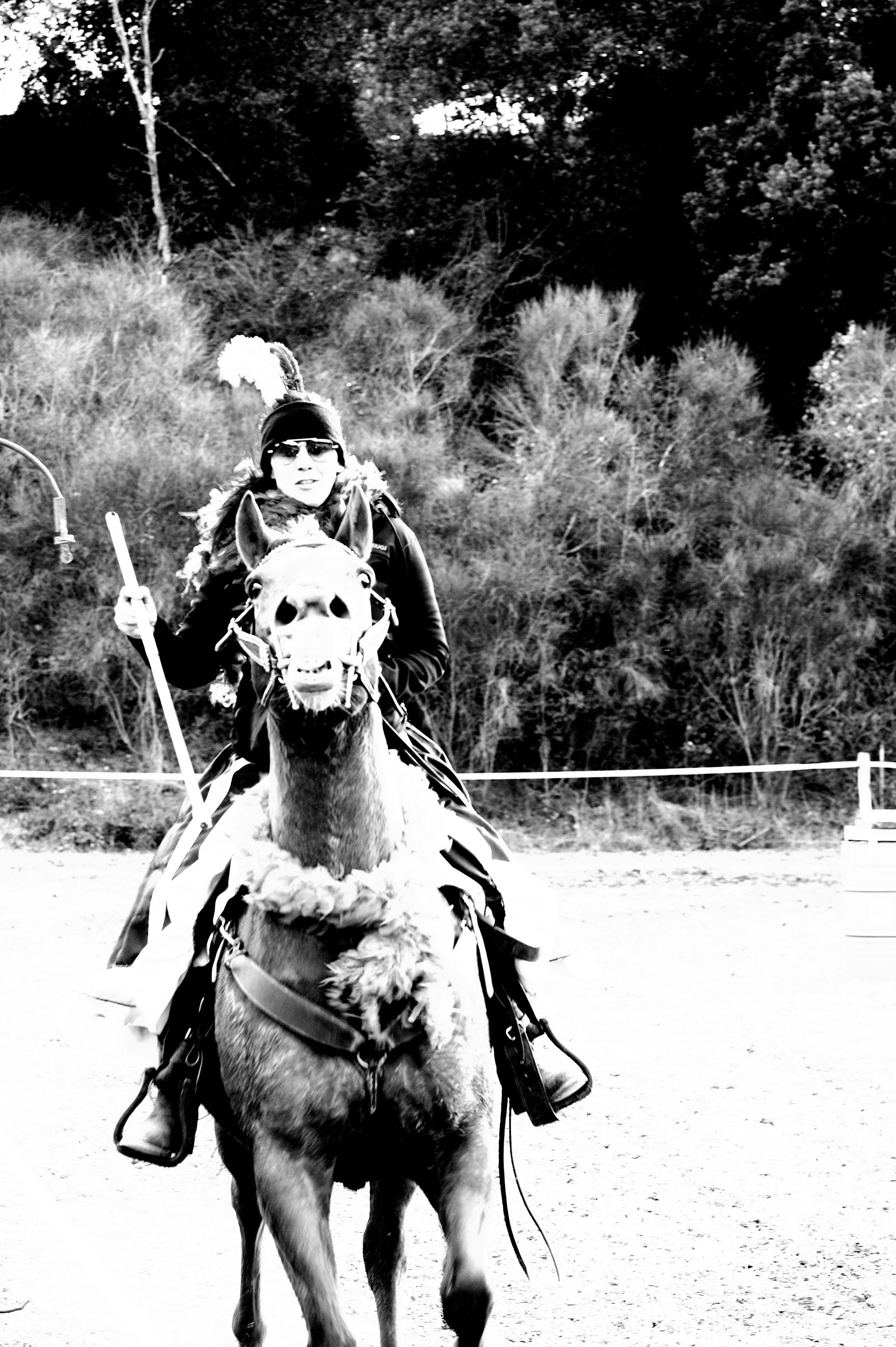 a cavallo a carnevale_4647.JPG