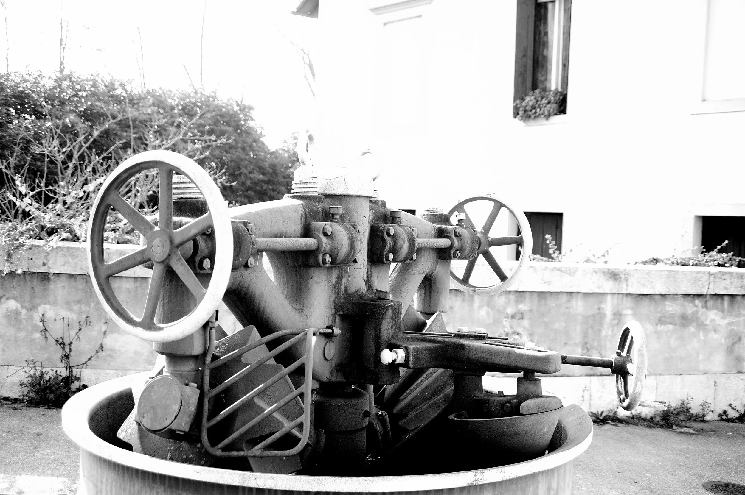 a cavallo a carnevale_4814.JPG