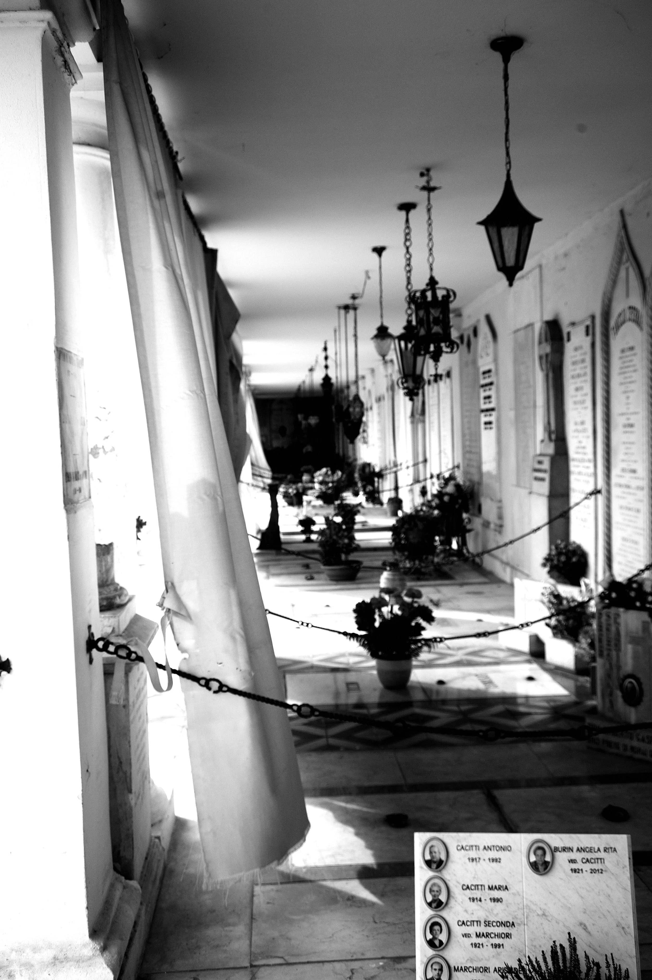 a cavallo a carnevale_4838.JPG