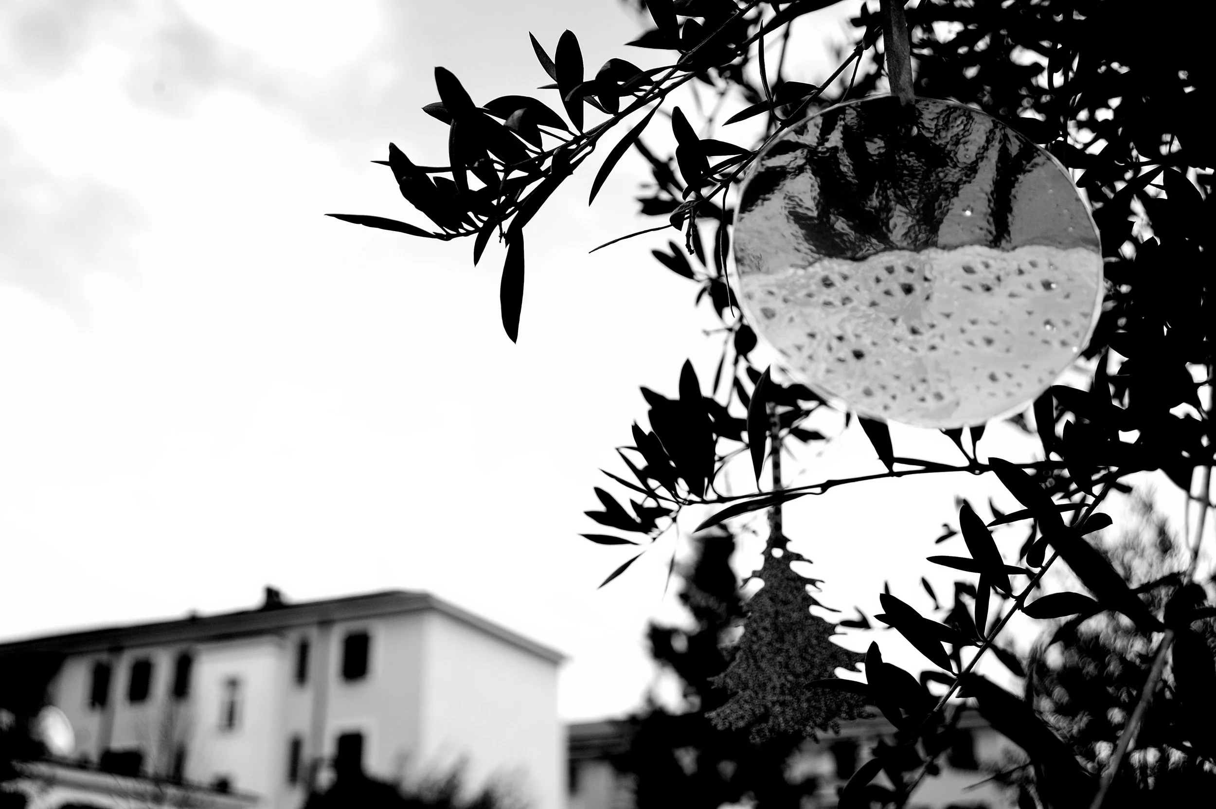 quartiere italia _3115.JPG