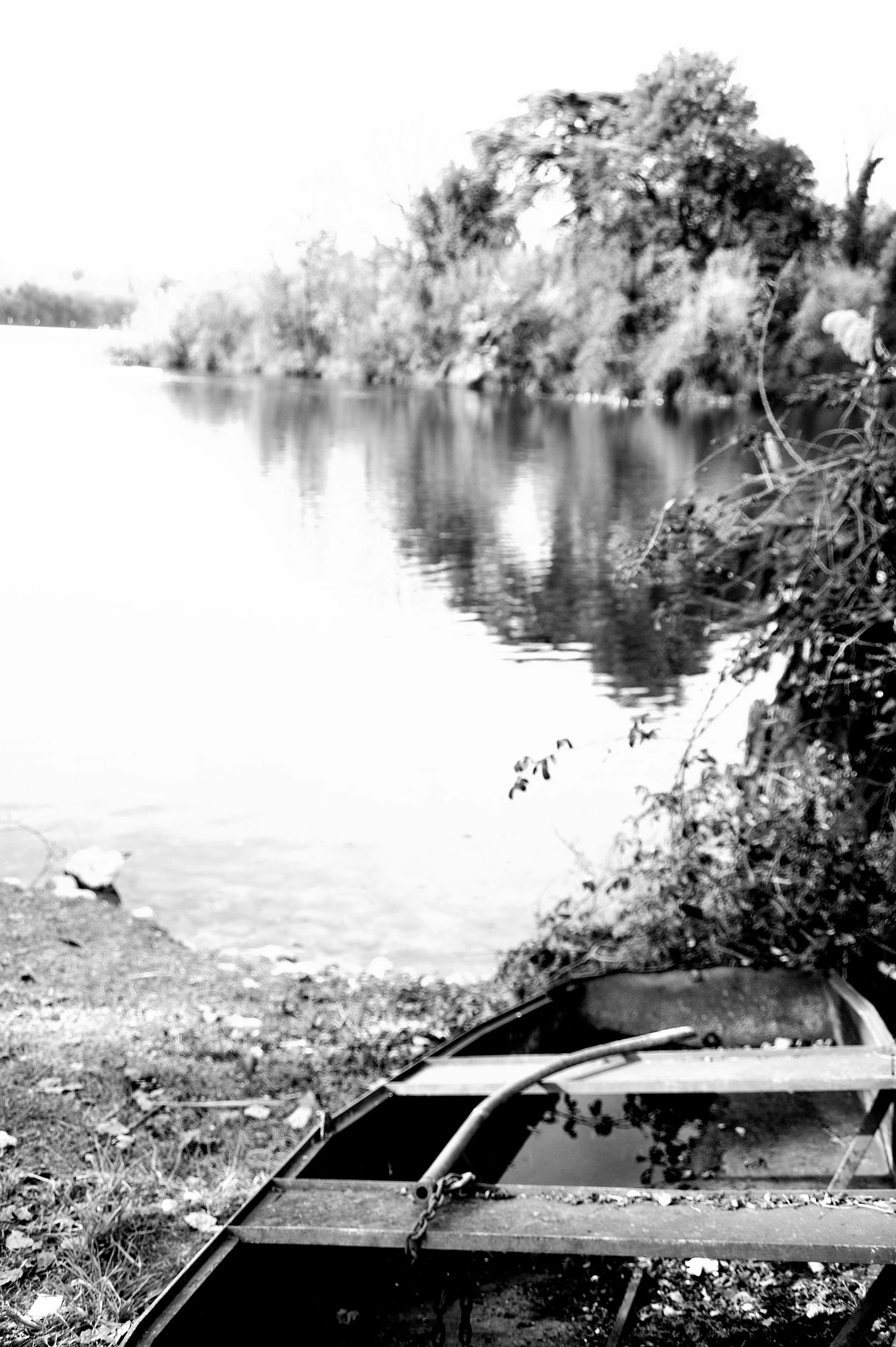 a cavallo a carnevale_4925.JPG