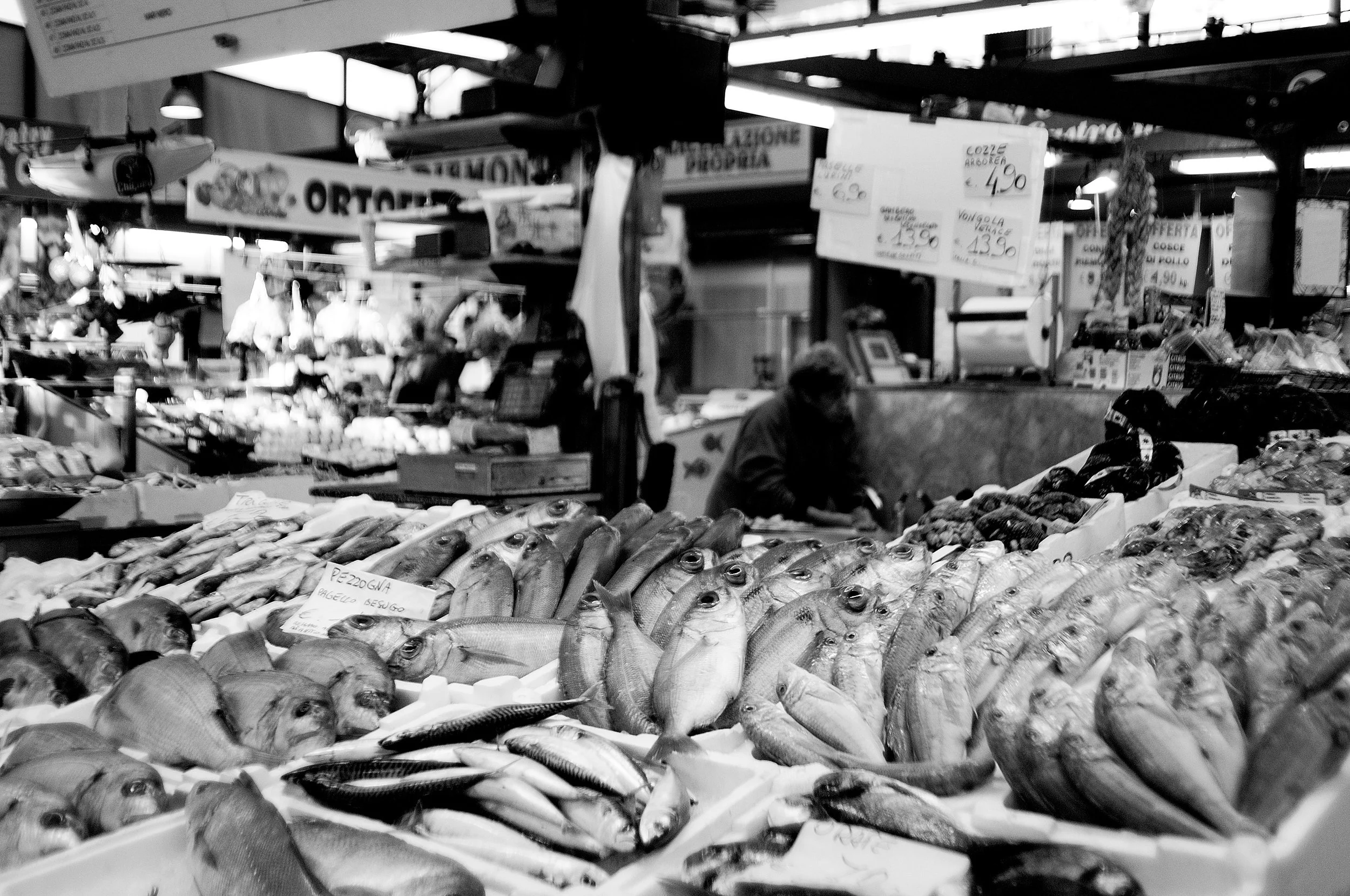 pesci genova2_522.JPG