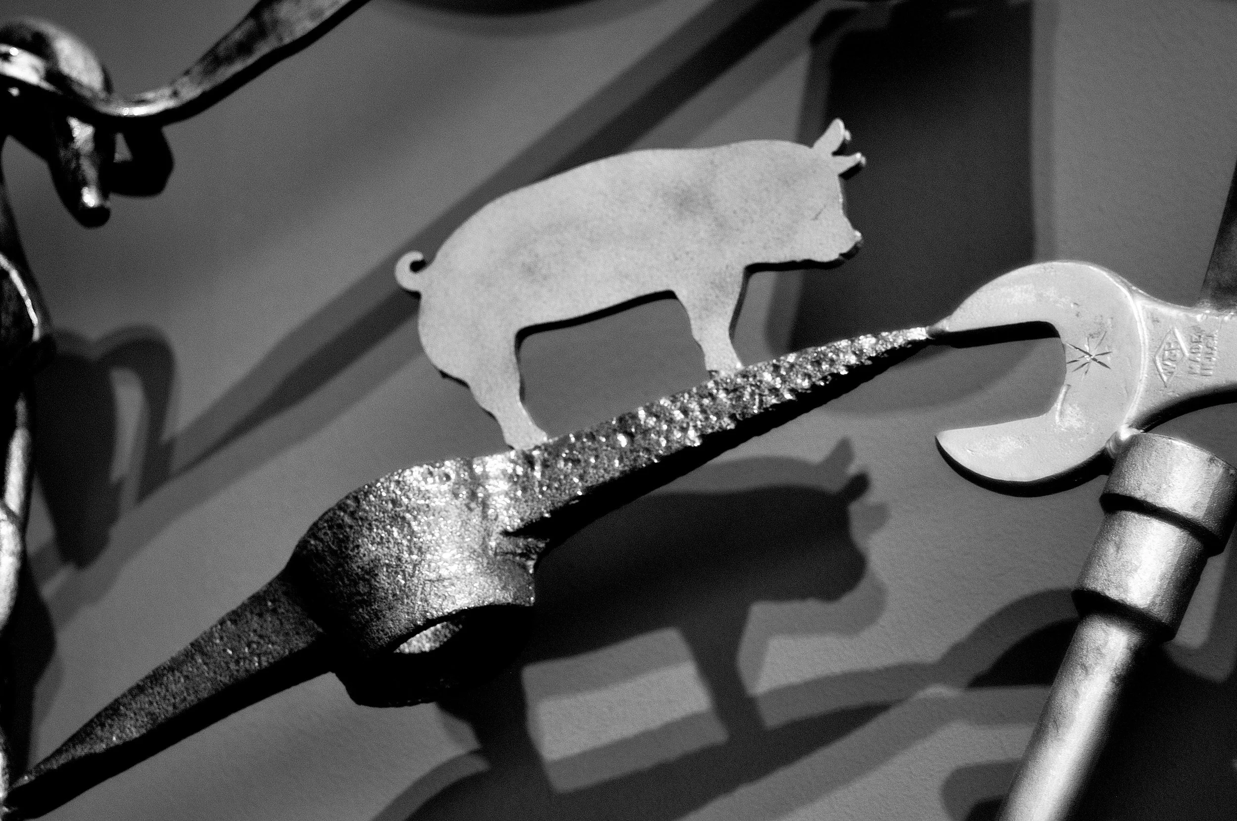 piccone porcello_1801.JPG