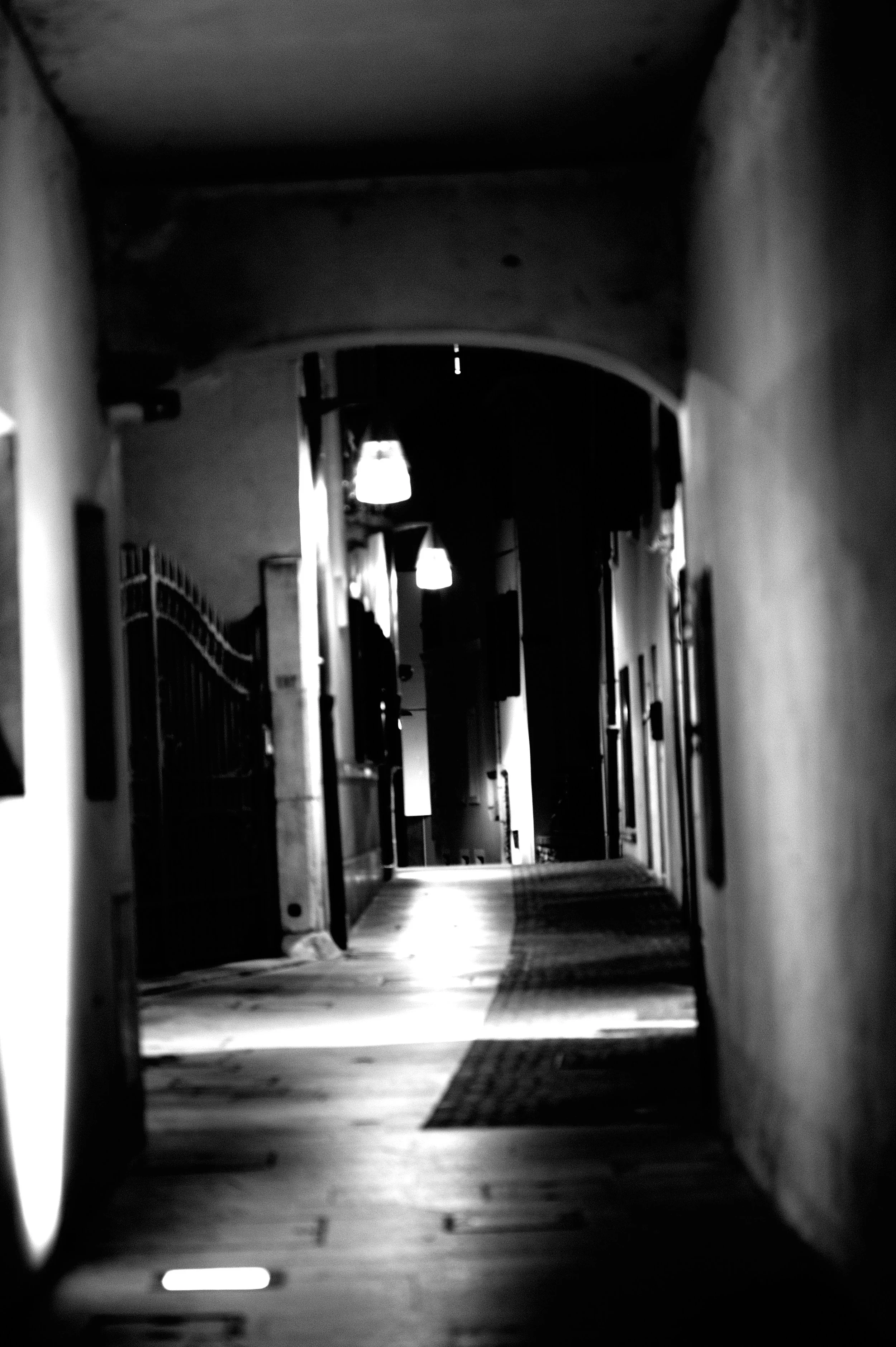 a cavallo a carnevale_4979.JPG