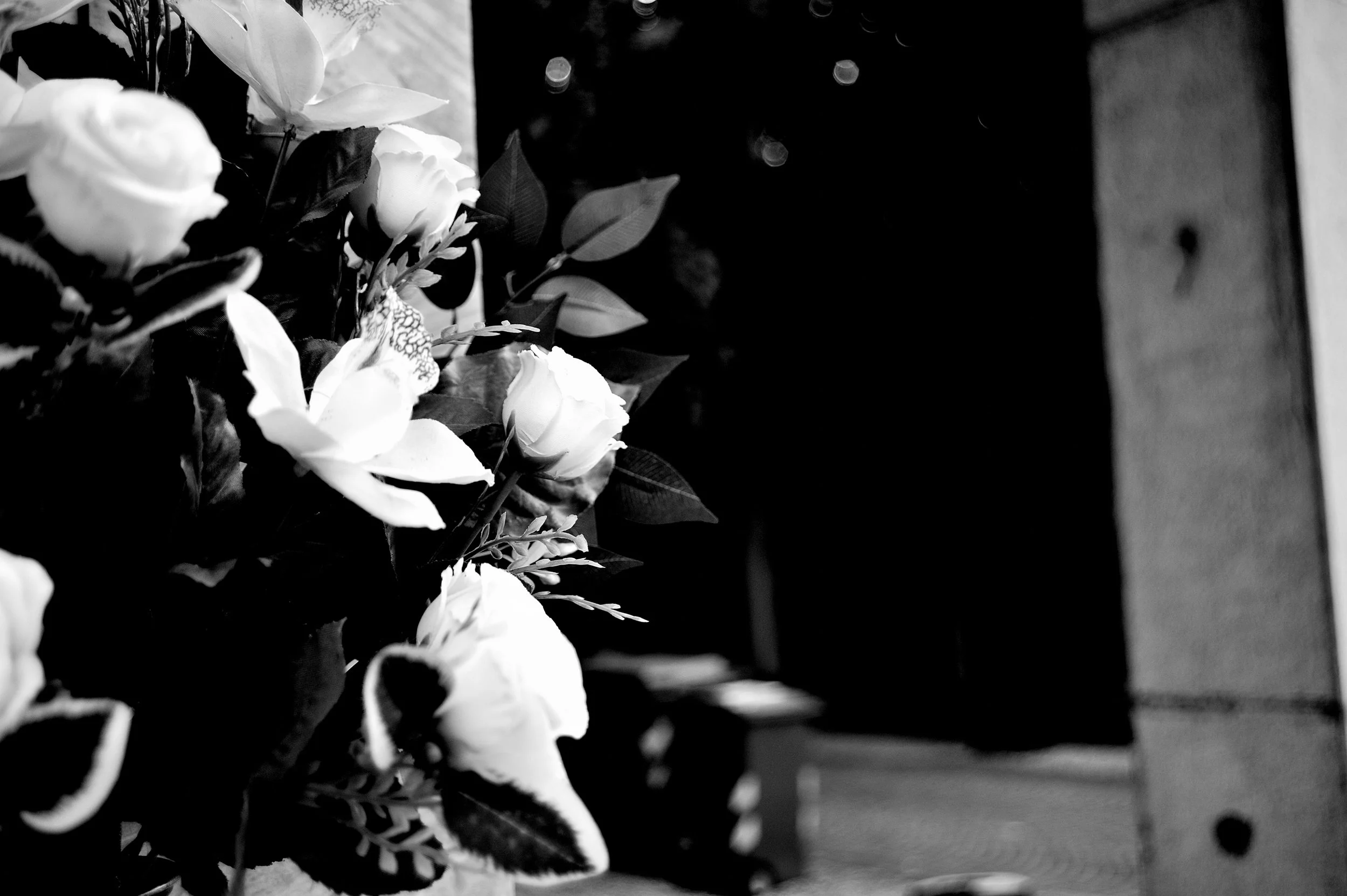 a cavallo a carnevale_4831.JPG