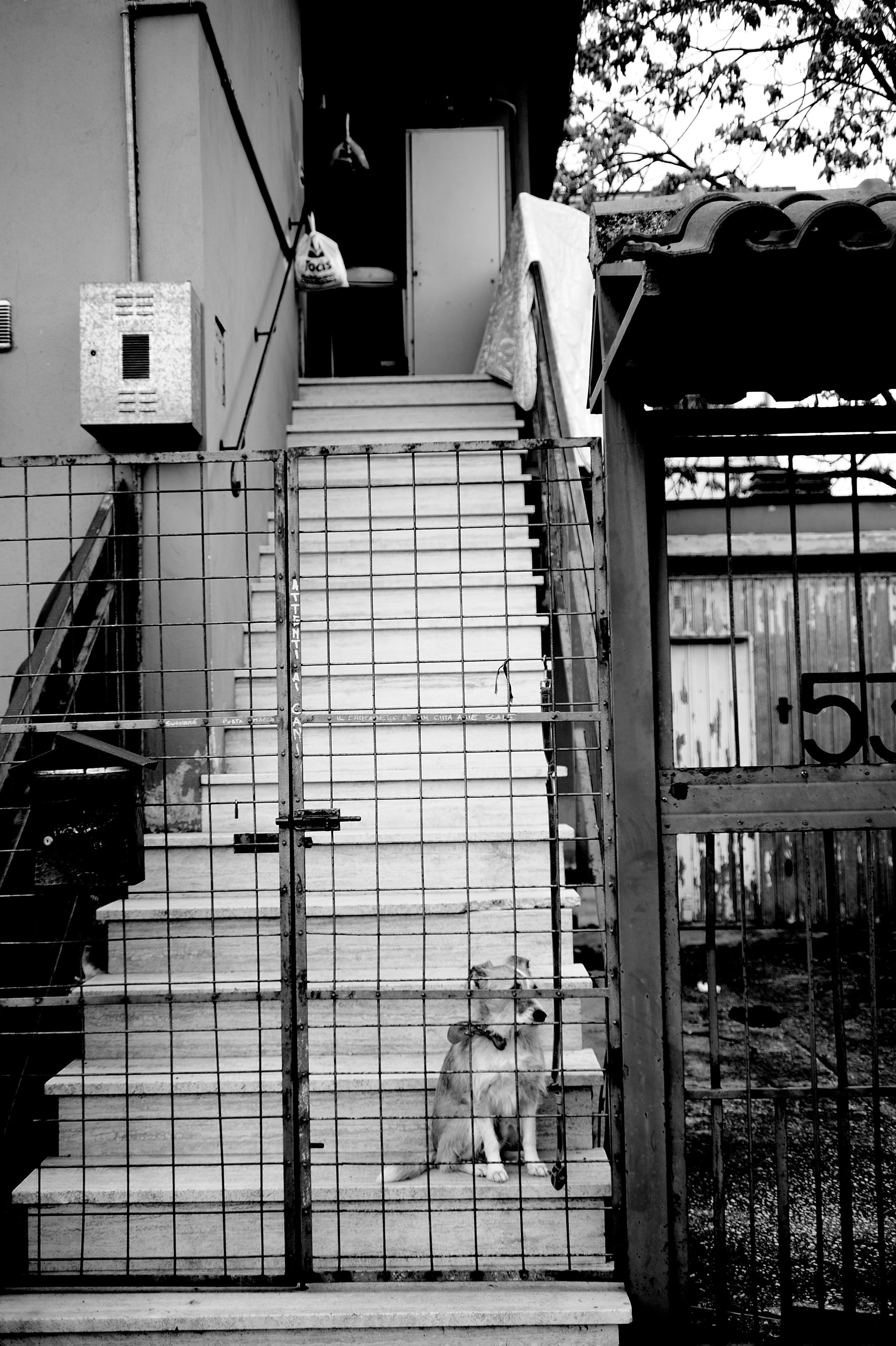 quartiere italia _3068.JPG