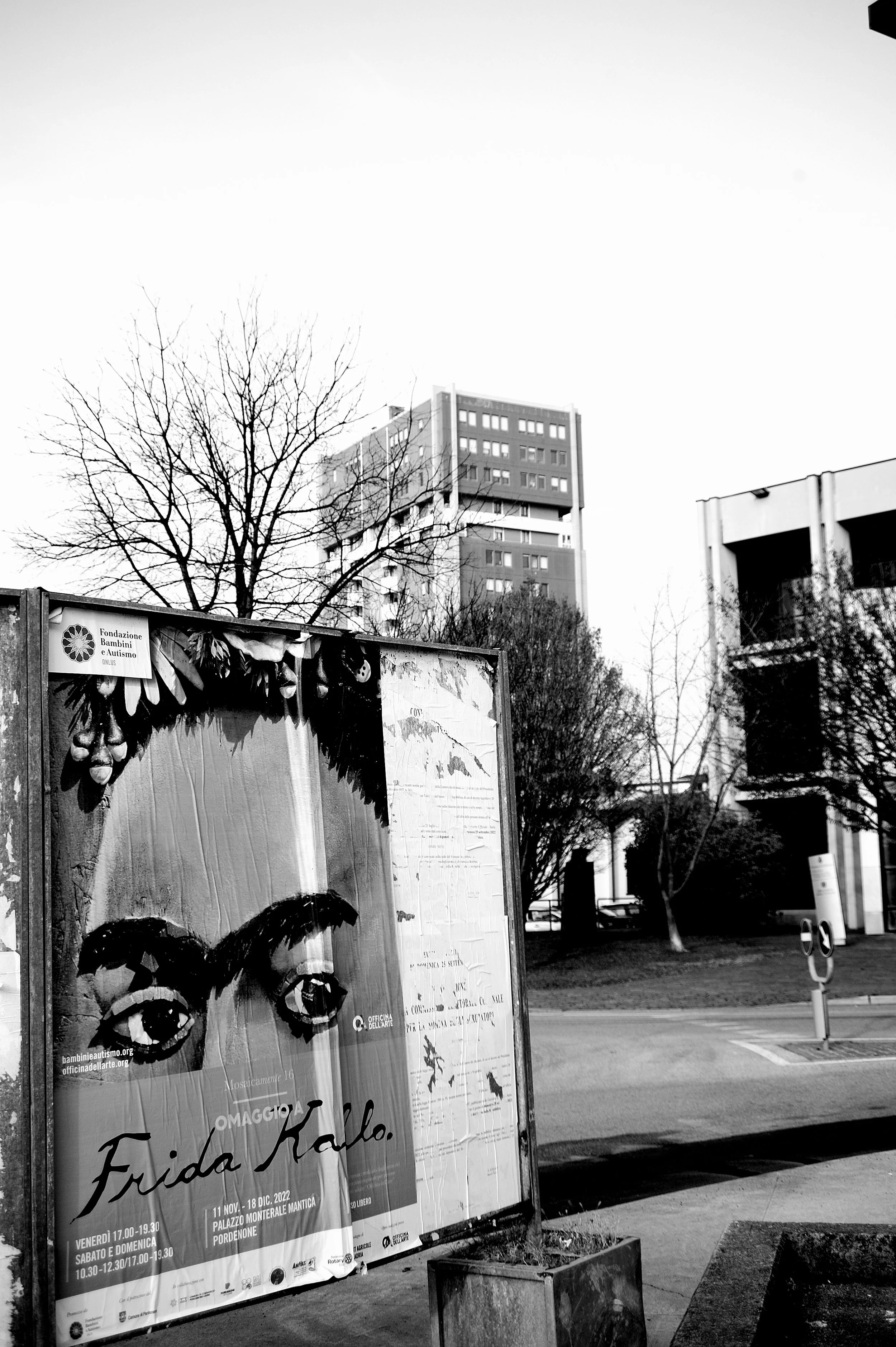 a cavallo a carnevale_4748.JPG