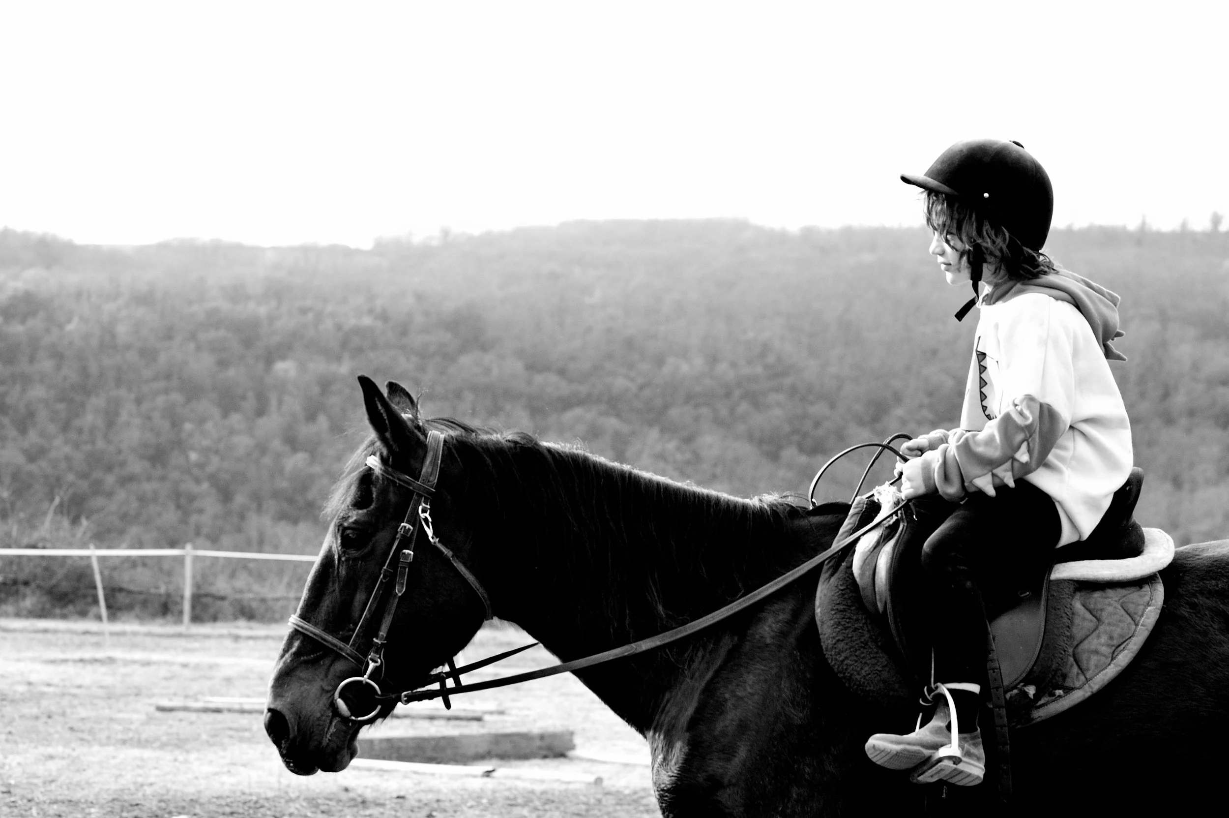 a cavallo a carnevale_4611.JPG