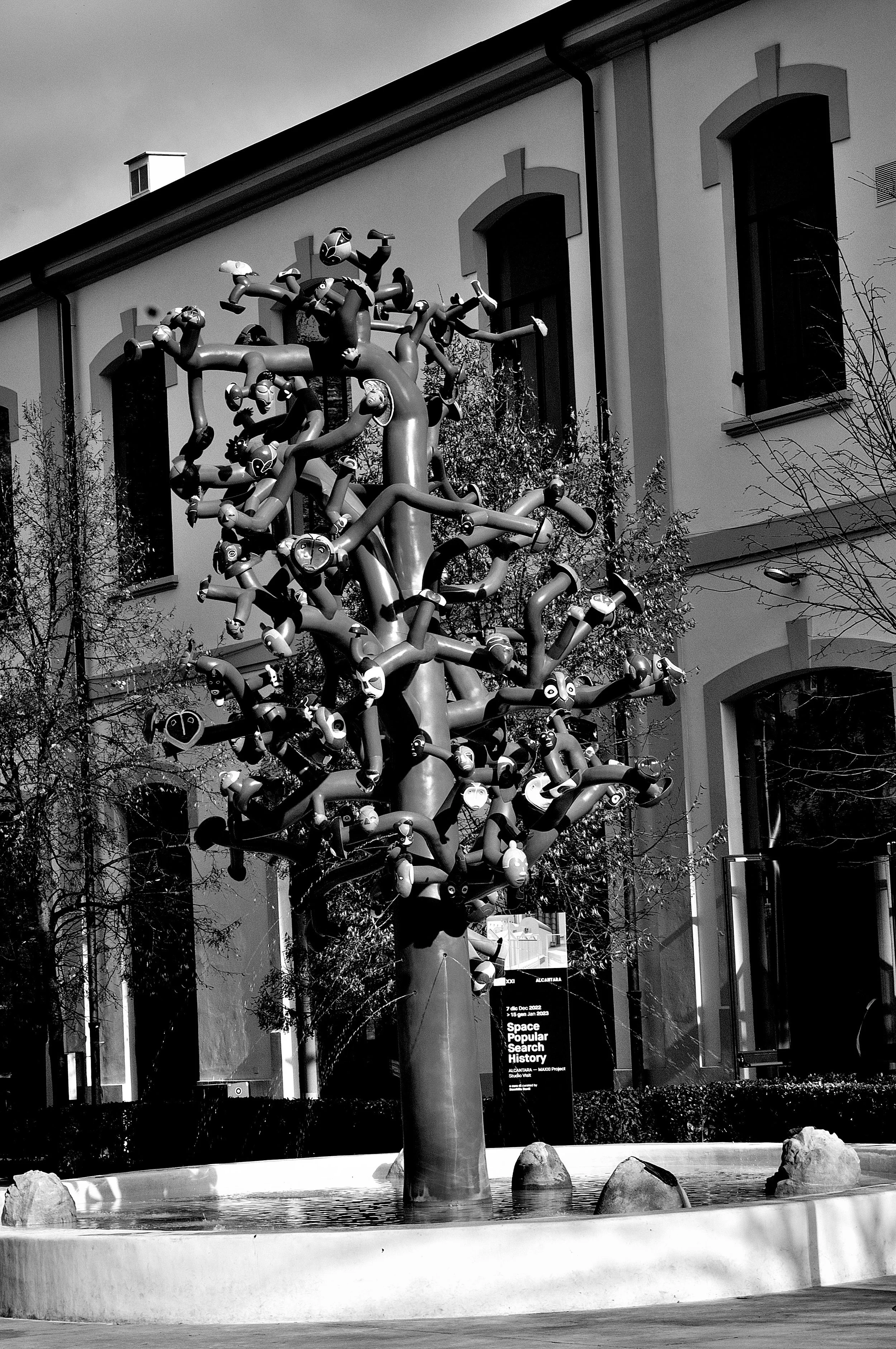 scultura albero_1727.JPG