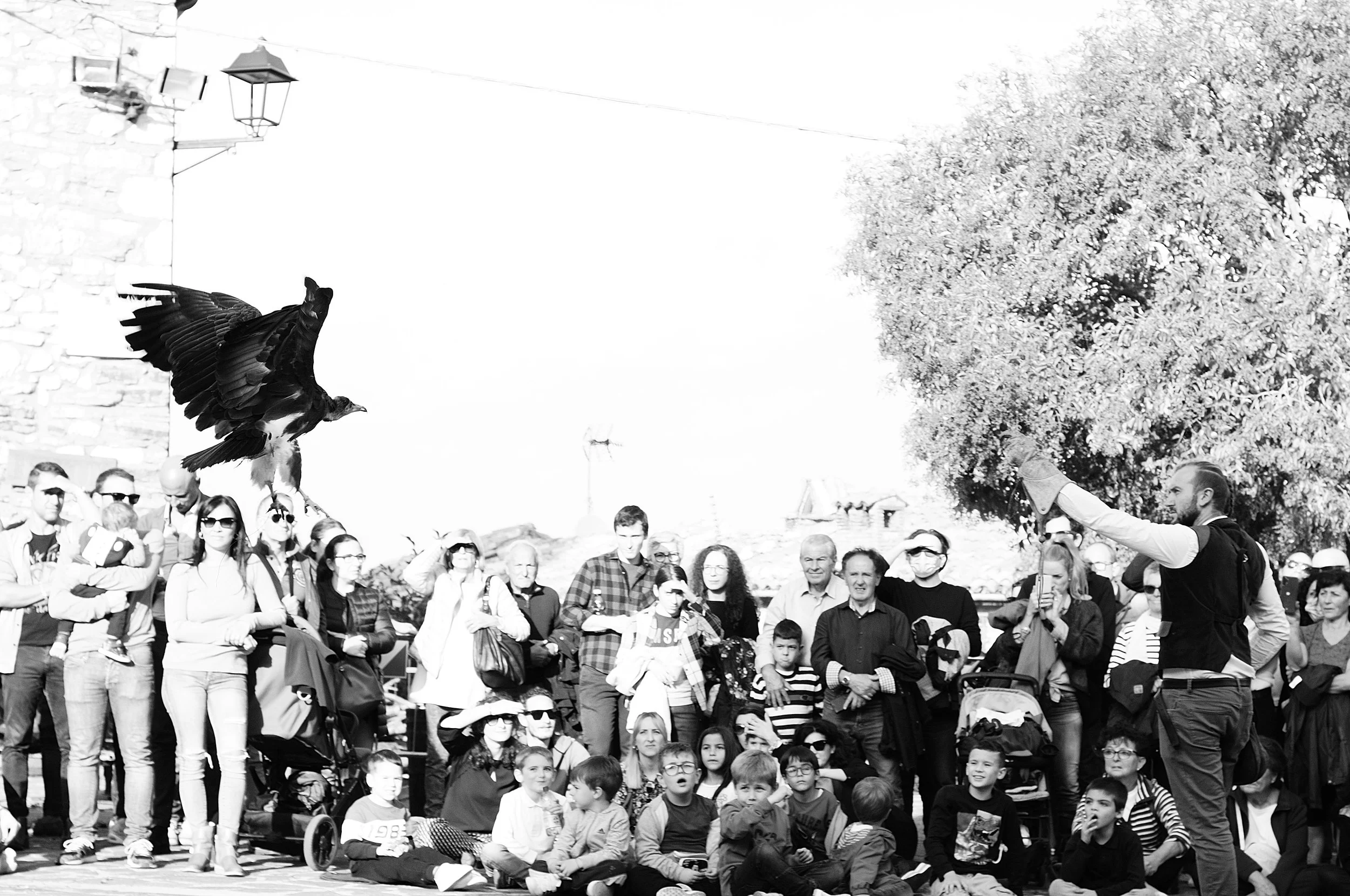 a cavallo a carnevale_5183.JPG