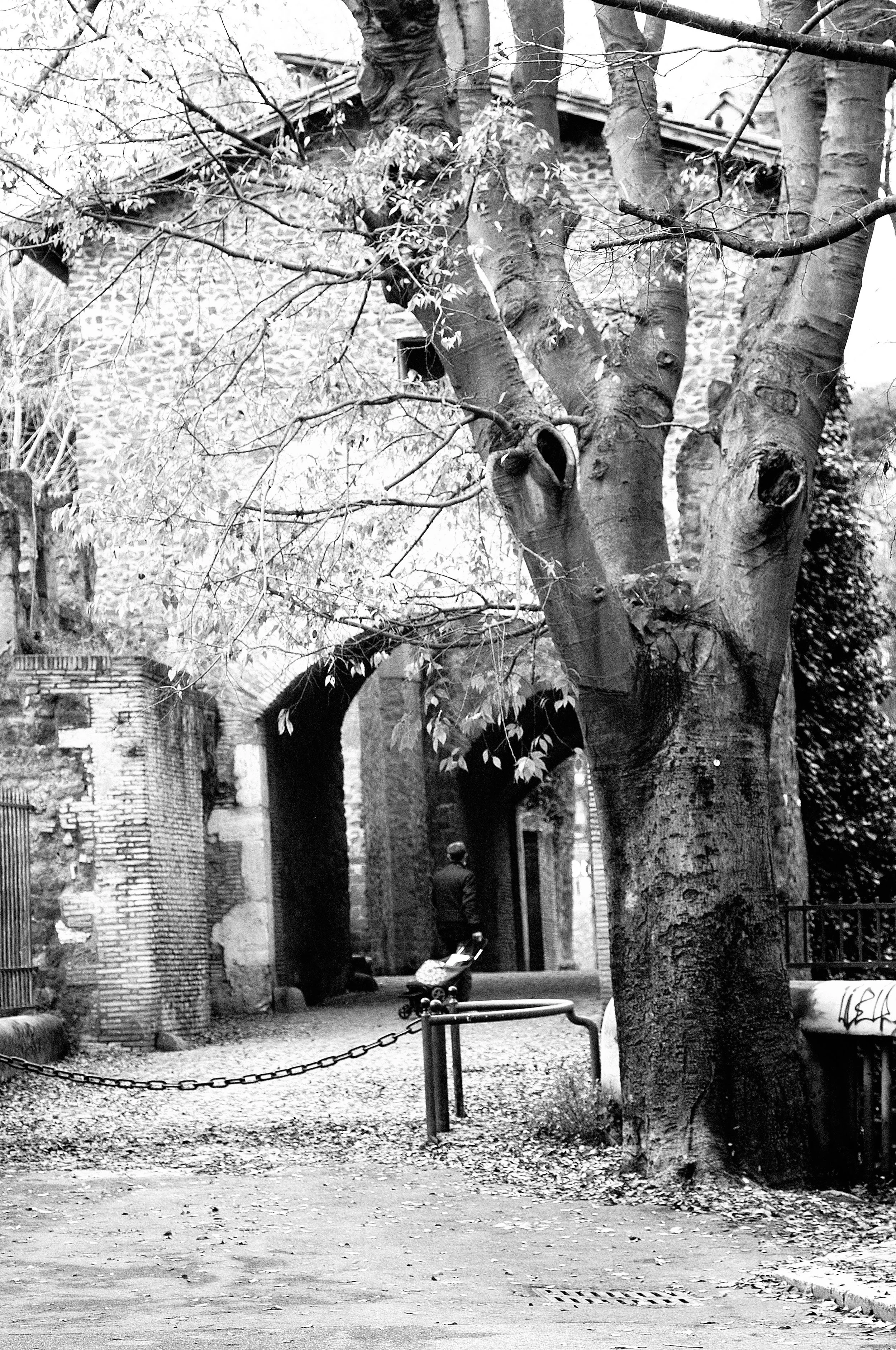 vecchio ponte_1401.JPG