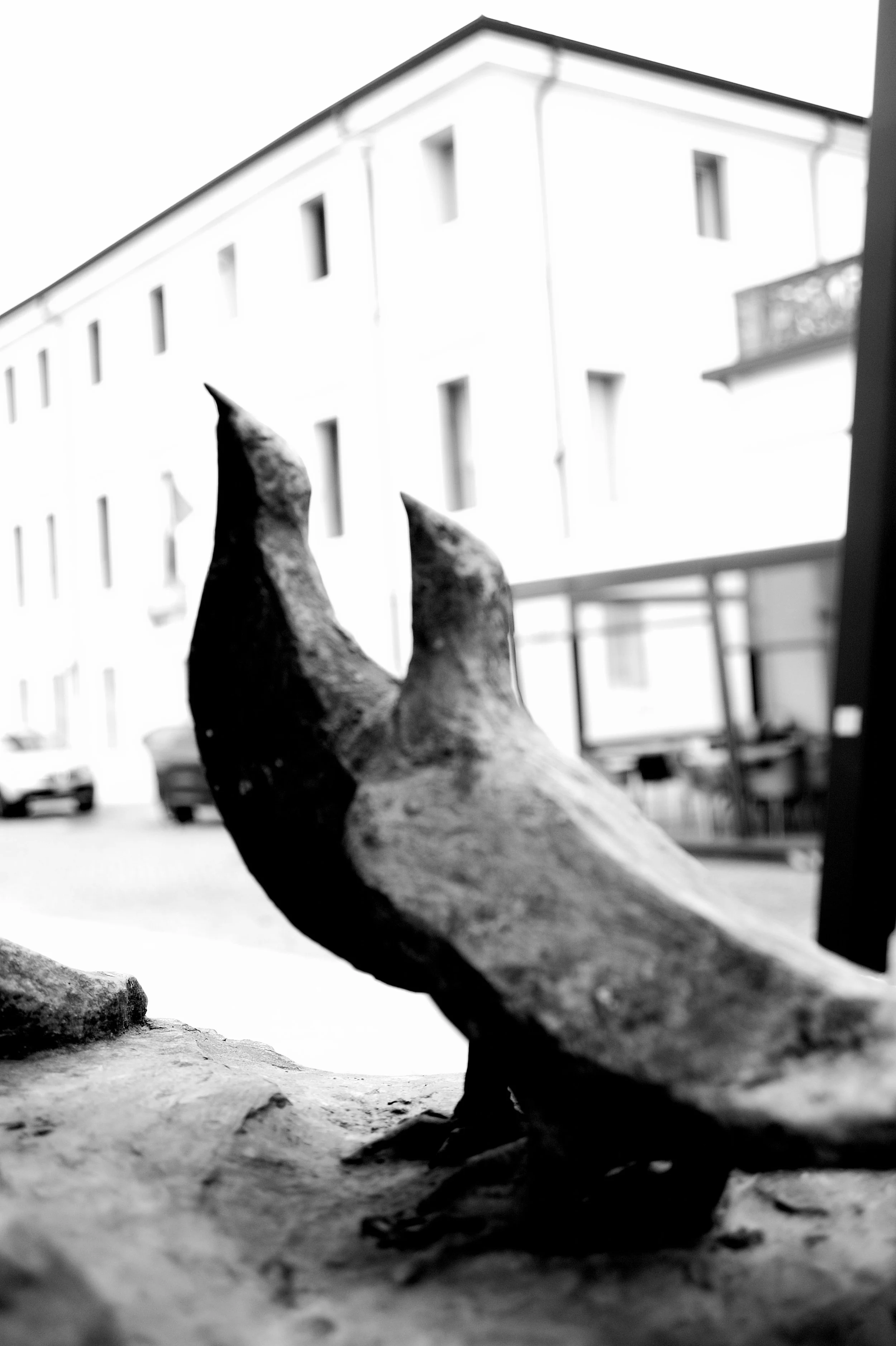 a cavallo a carnevale_5022.JPG