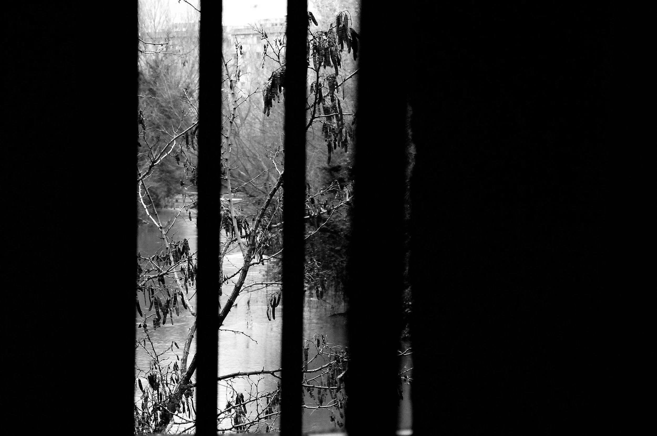 ponte vecchio_1417.JPG