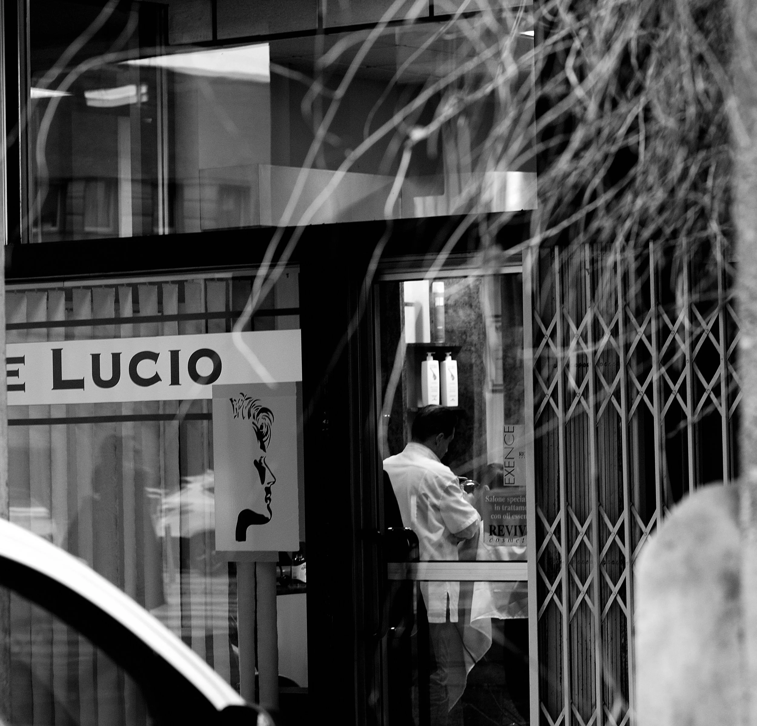 a cavallo a carnevale_5000.JPG