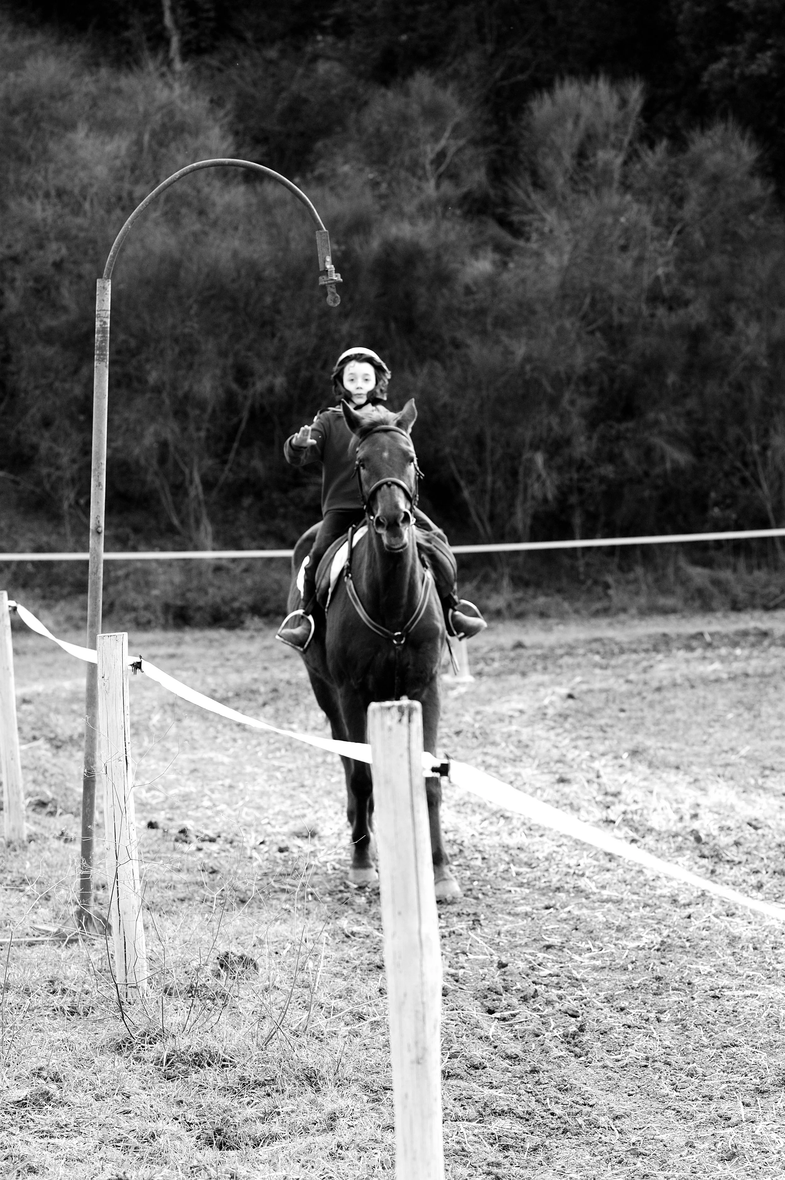 a cavallo a carnevale_4621.JPG