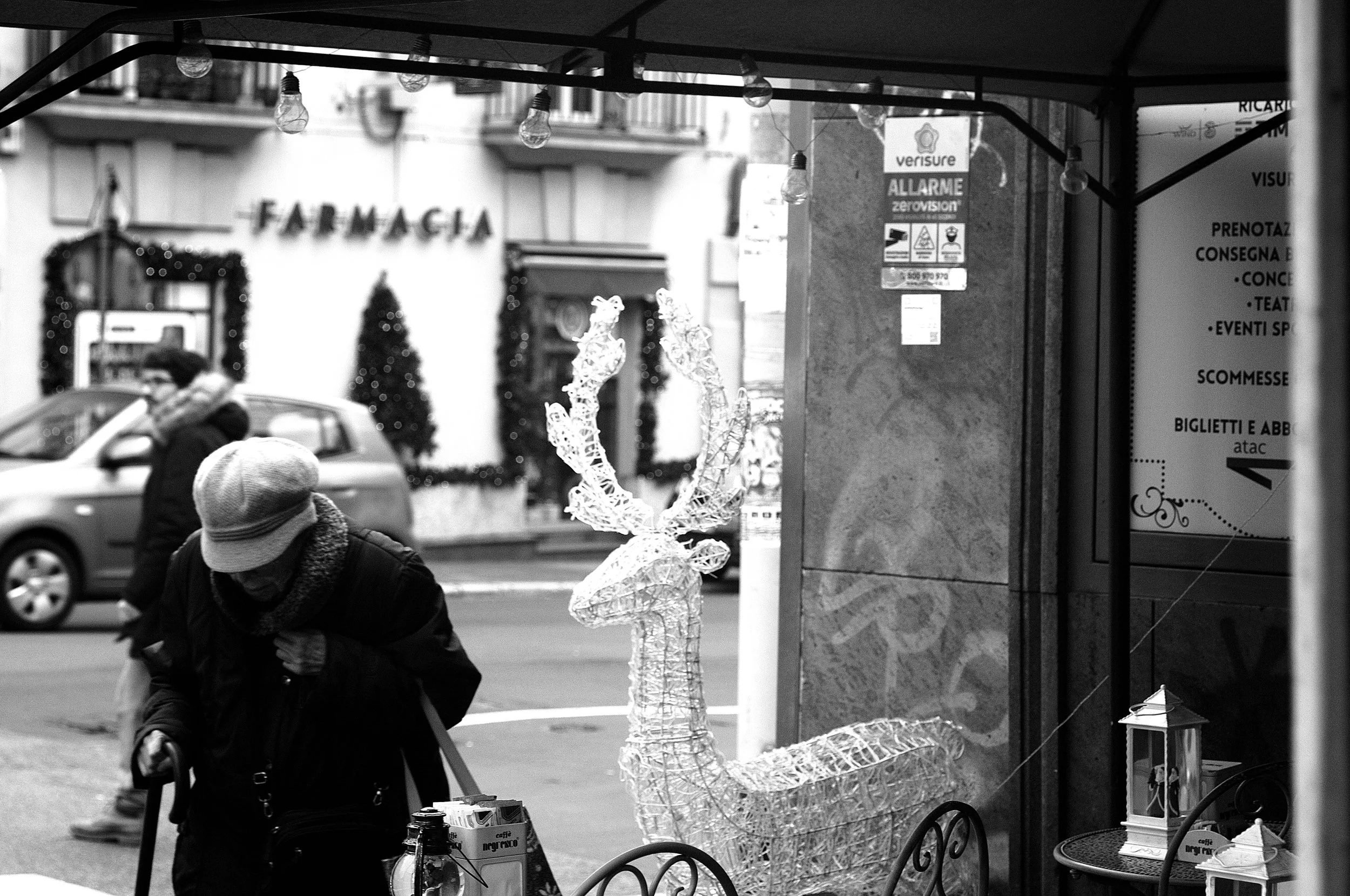 renna e vecchina_1377.JPG