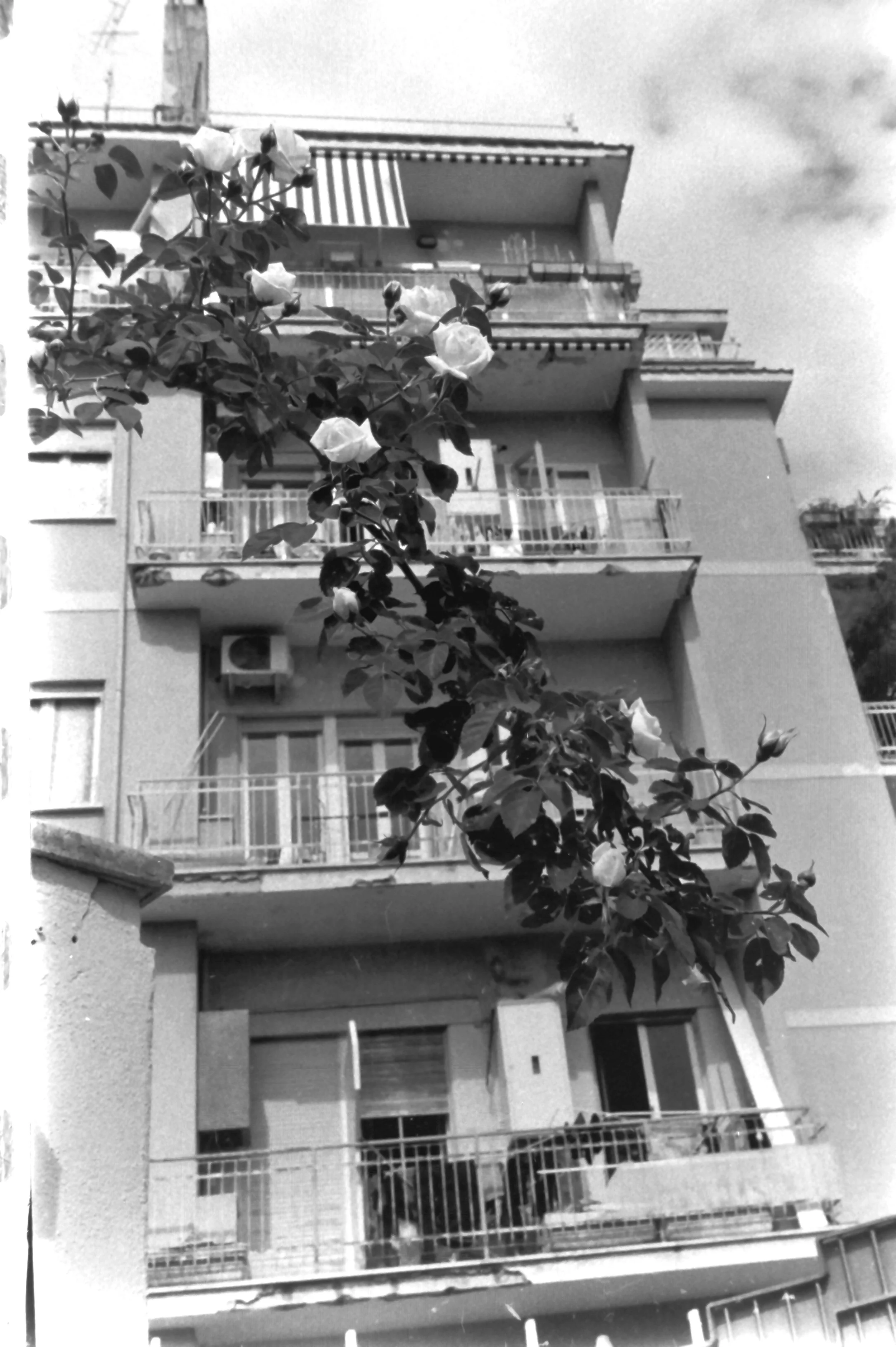 genova primo maggio quinte_7658.JPG