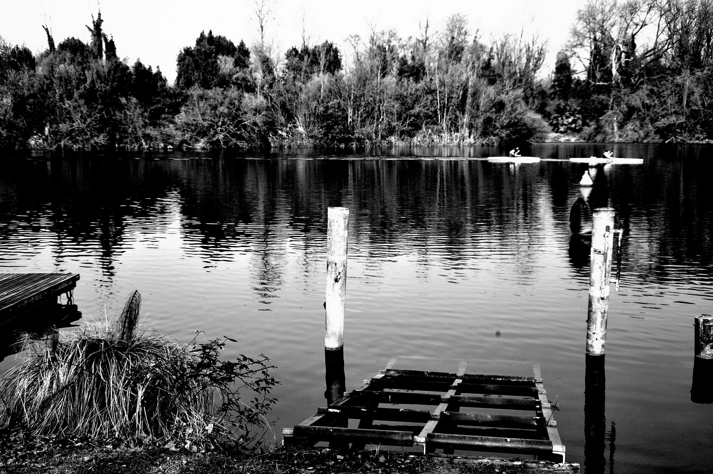 a cavallo a carnevale_4949.JPG