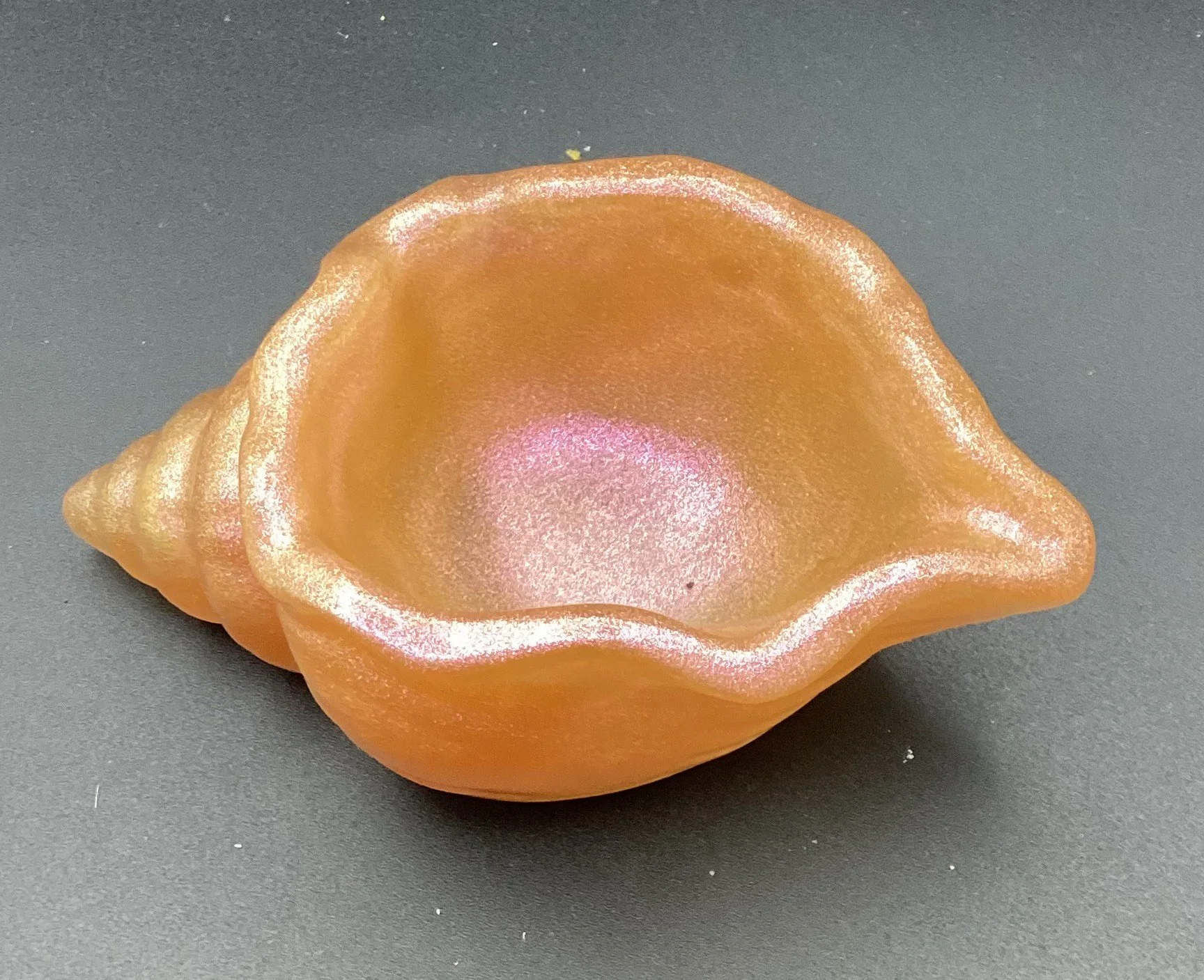 champagne chameleon shell TB.jpeg