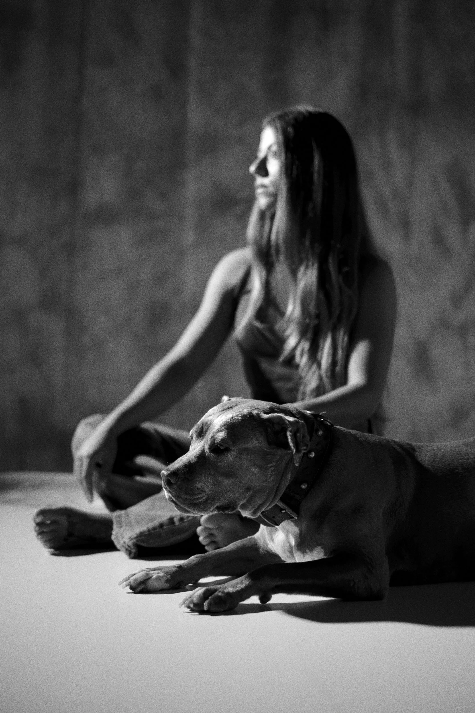 SOFI PET 09-254512.jpg