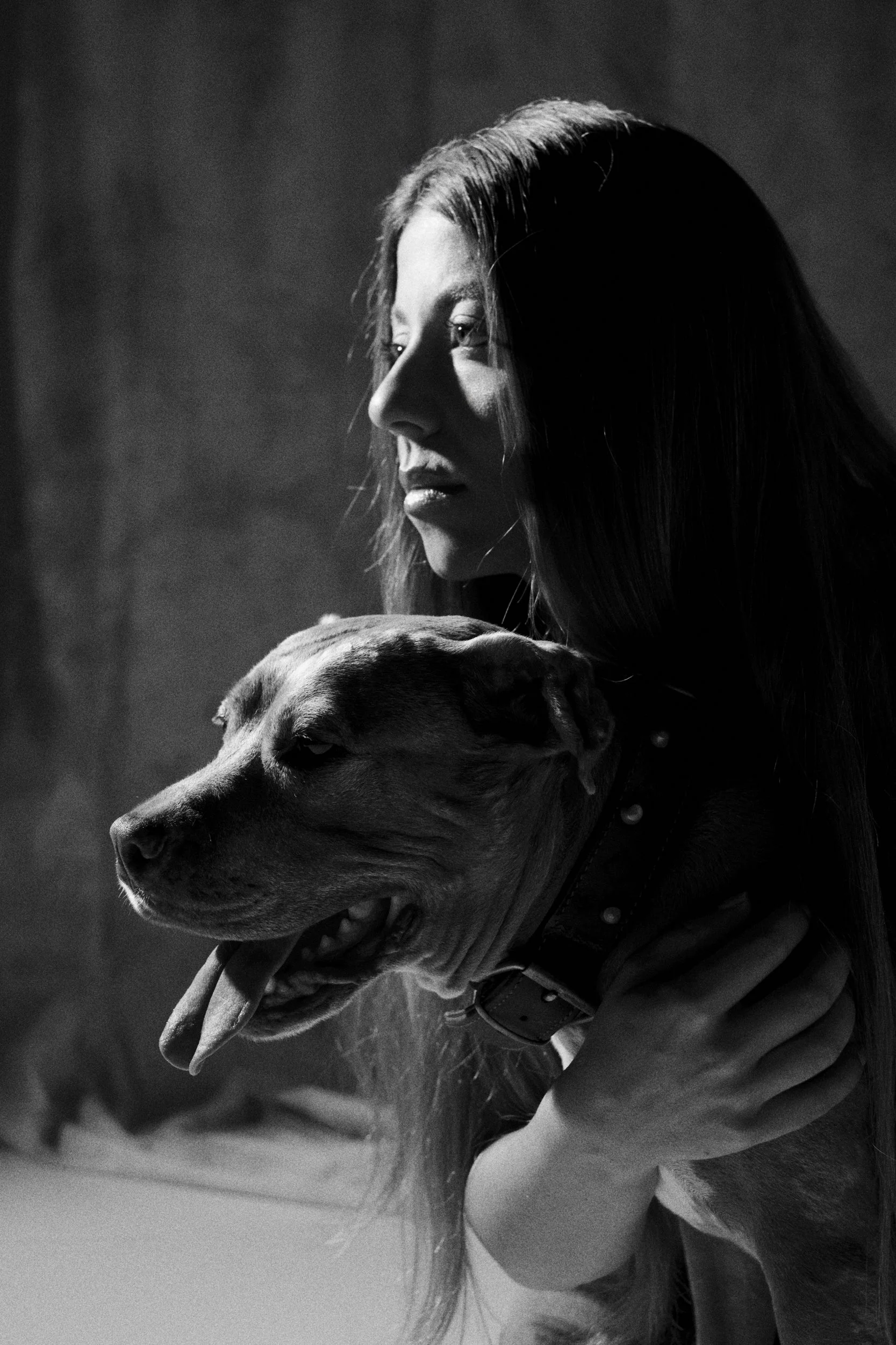 SOFI PET 09-254499.jpg