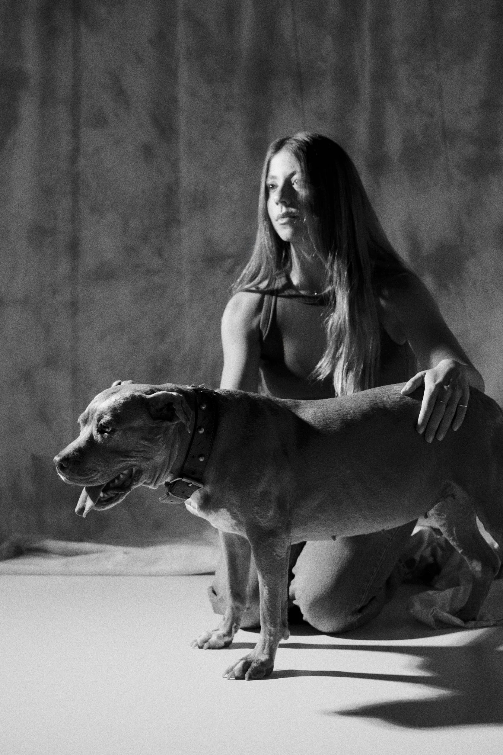 SOFI PET 09-254493.jpg