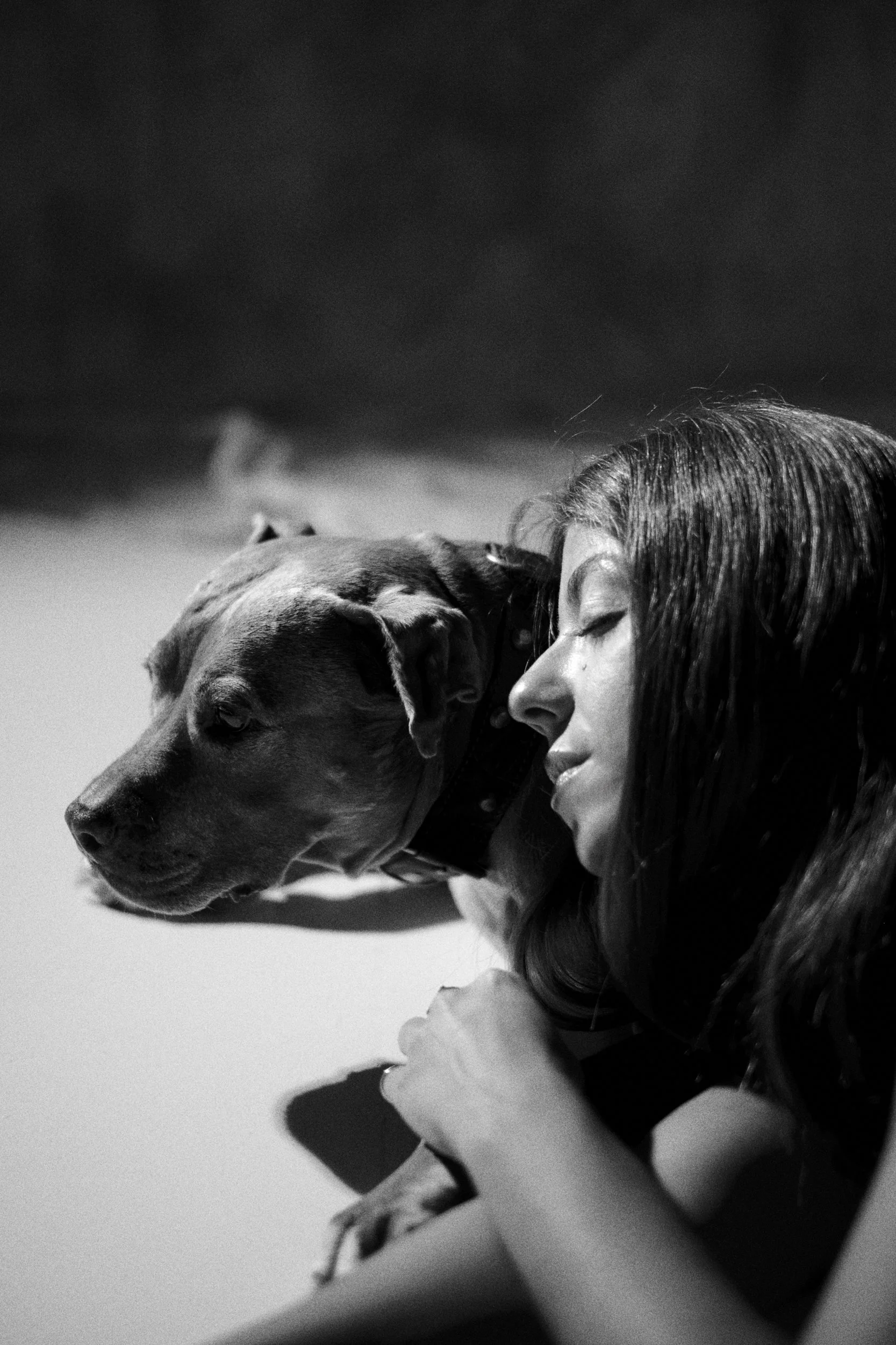 SOFI PET 09-254518.jpg