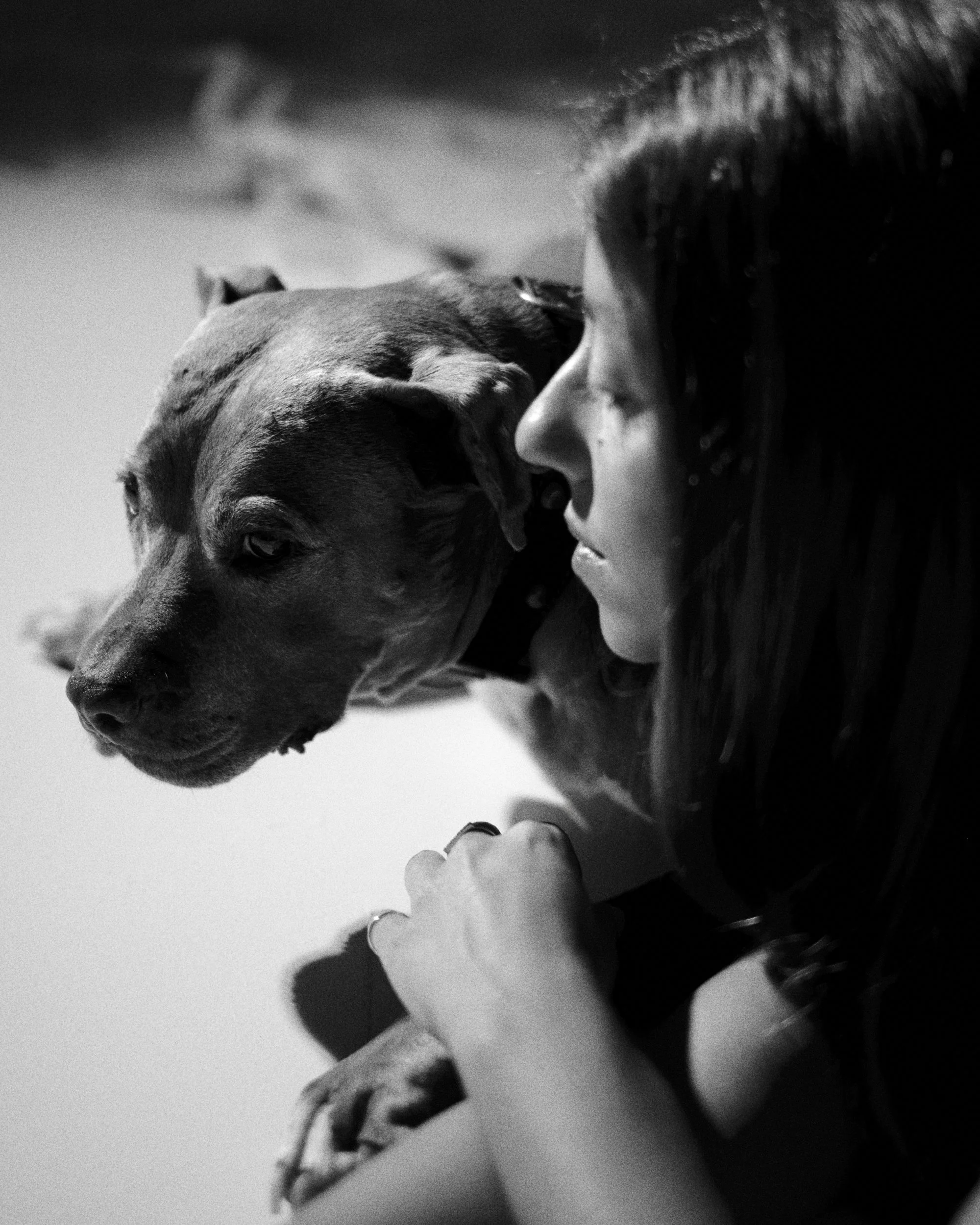 SOFI PET 09-254516.jpg