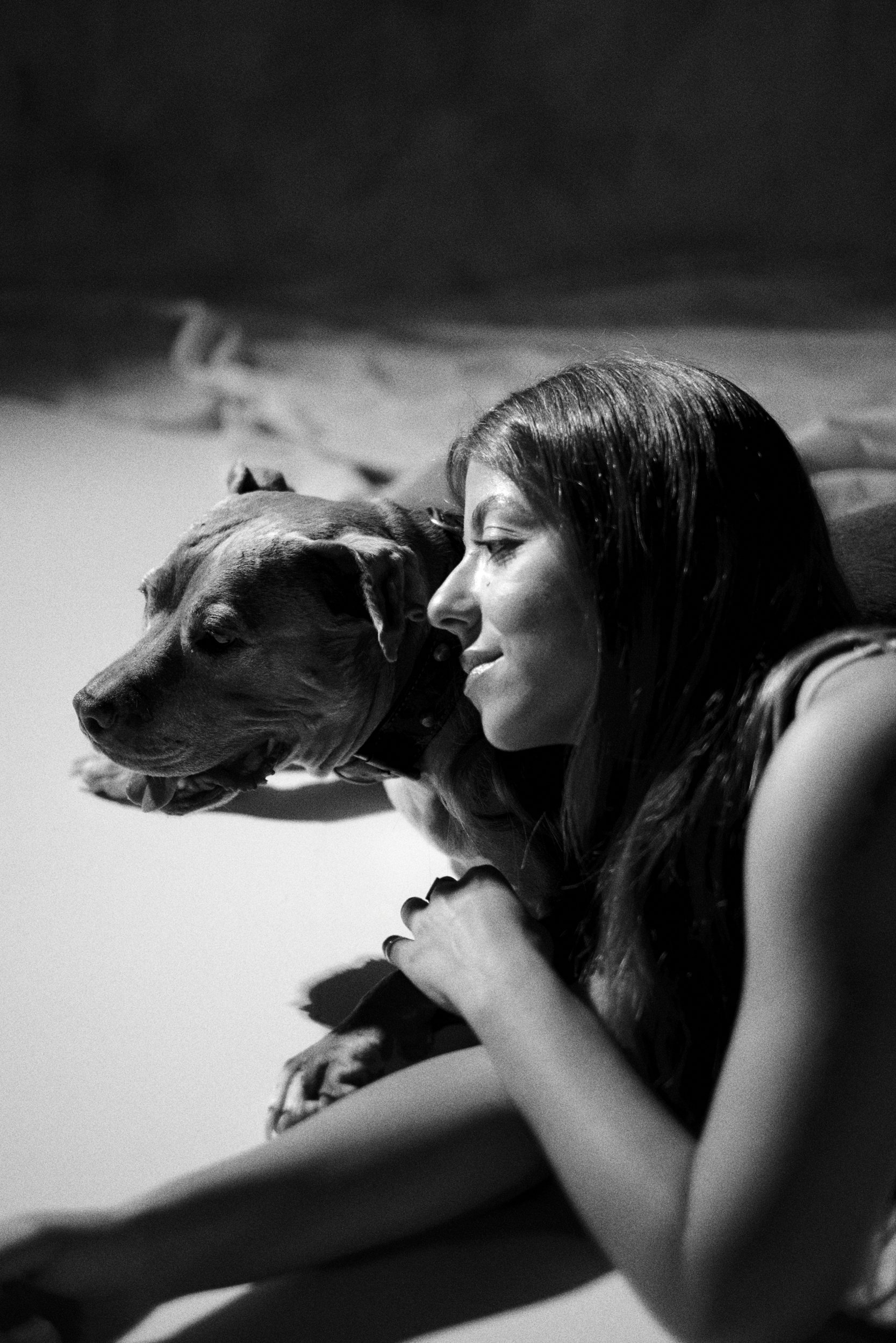 SOFI PET 09-254515.jpg