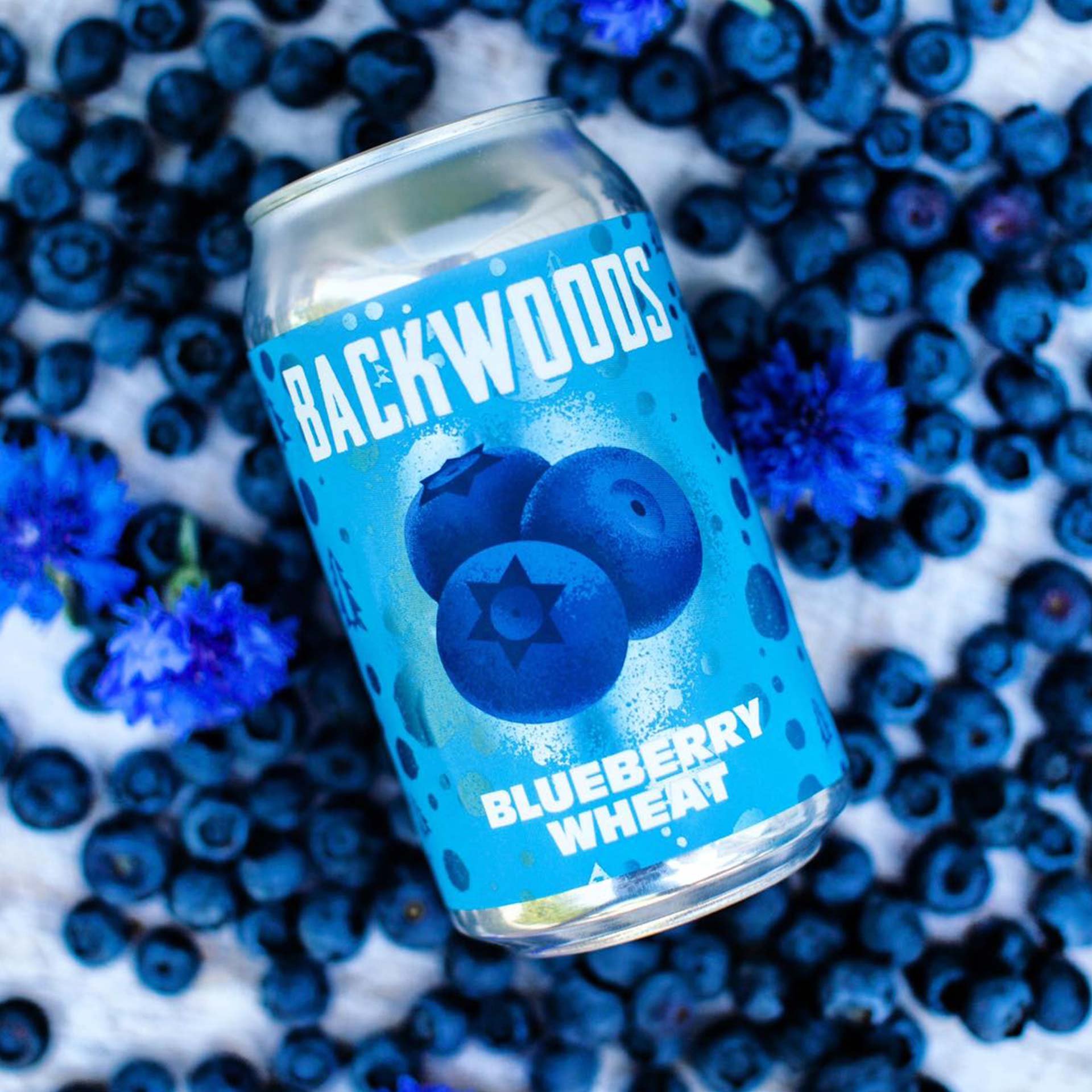 backwoods15.jpg