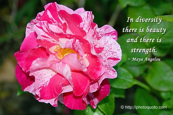 Default settings...number two...