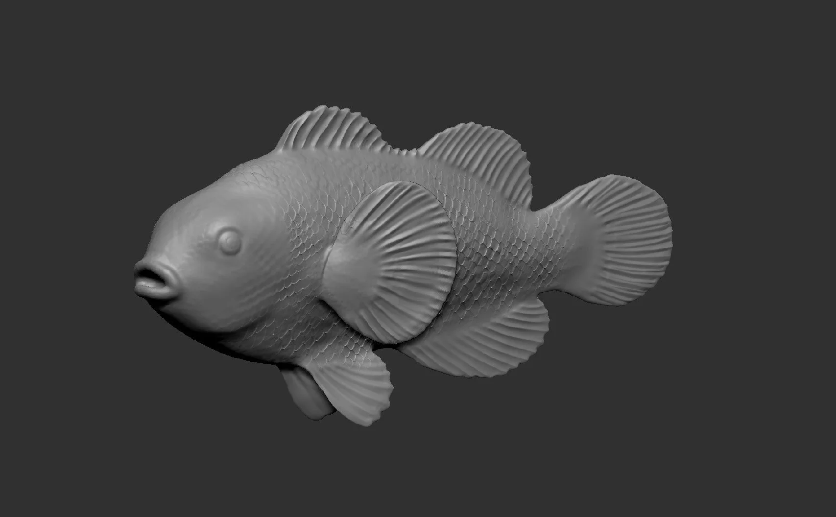 3DClownfishModel.jpg