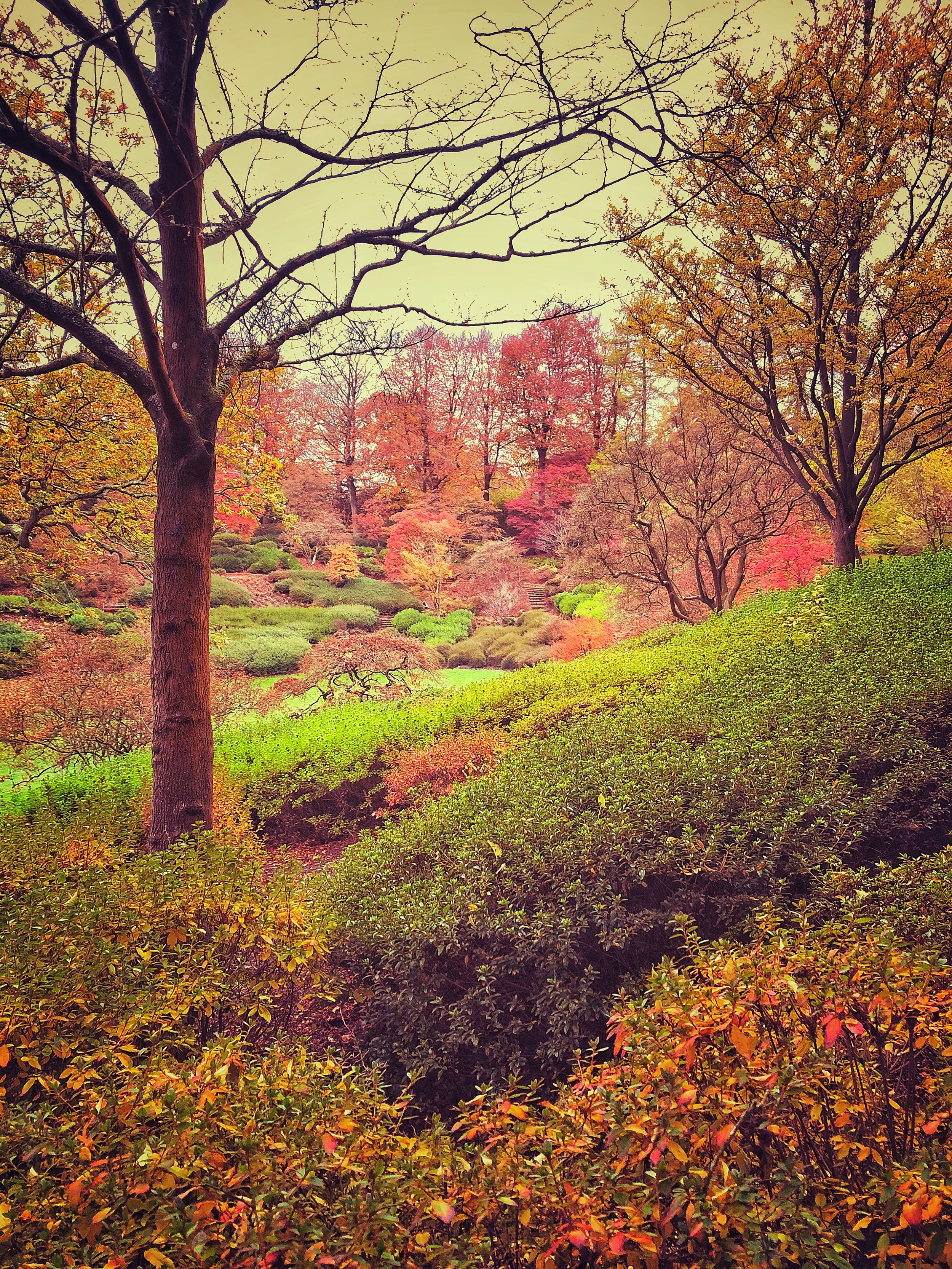 35. Windsor Autumn Colours .jpg