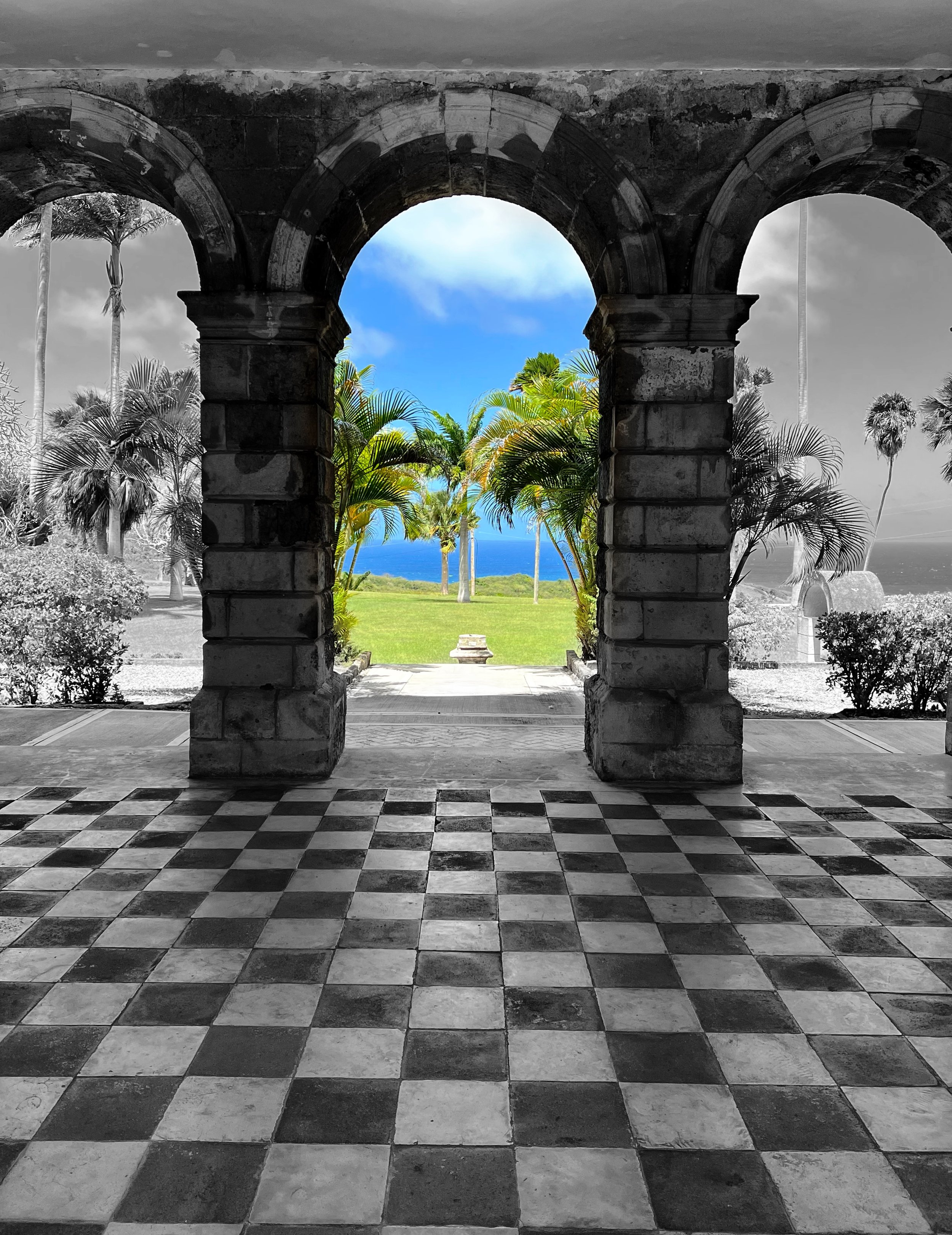 50. Colour Splash Cloisters Barbados .jpg
