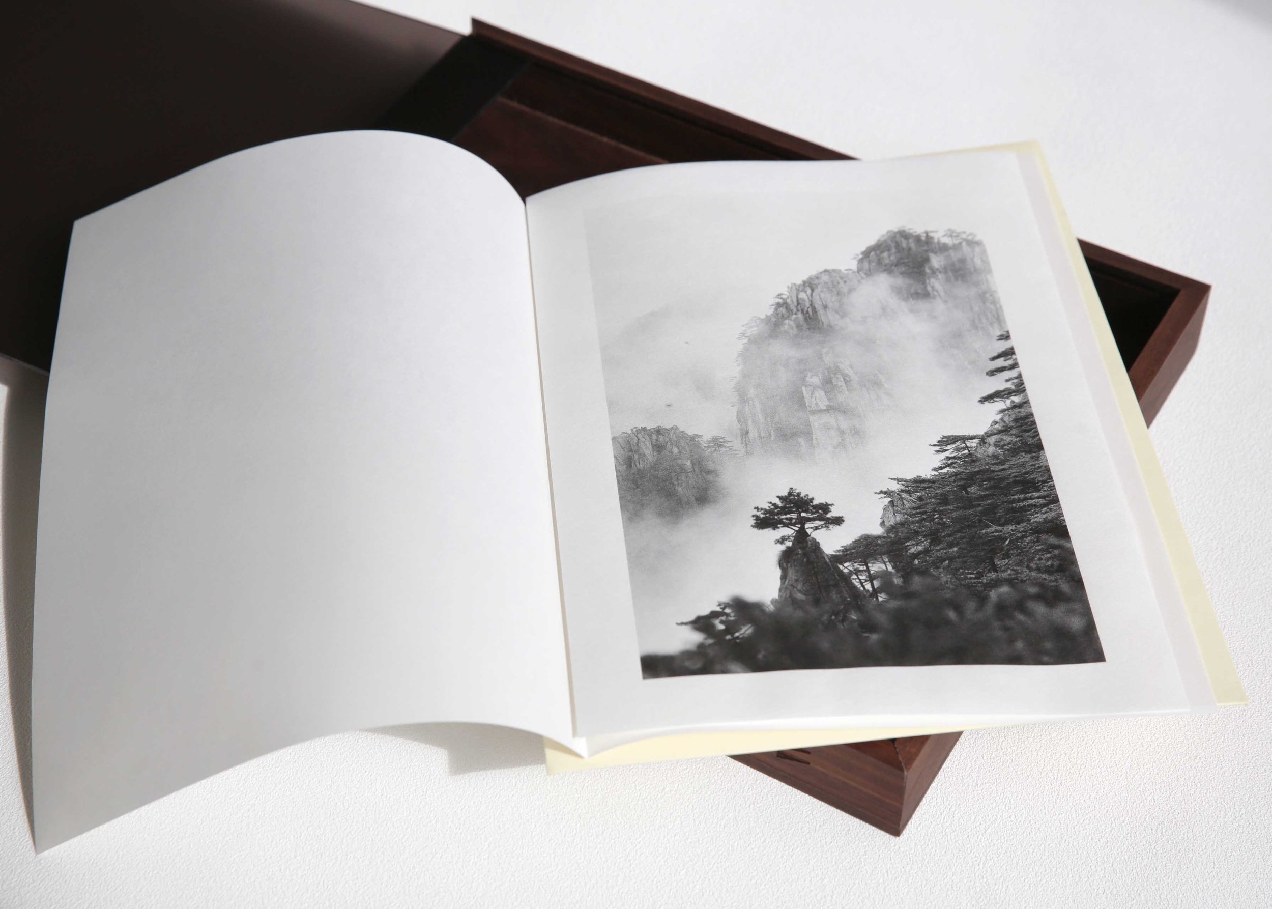 15 QIU Yangzi_Cloud and Stone.jpg