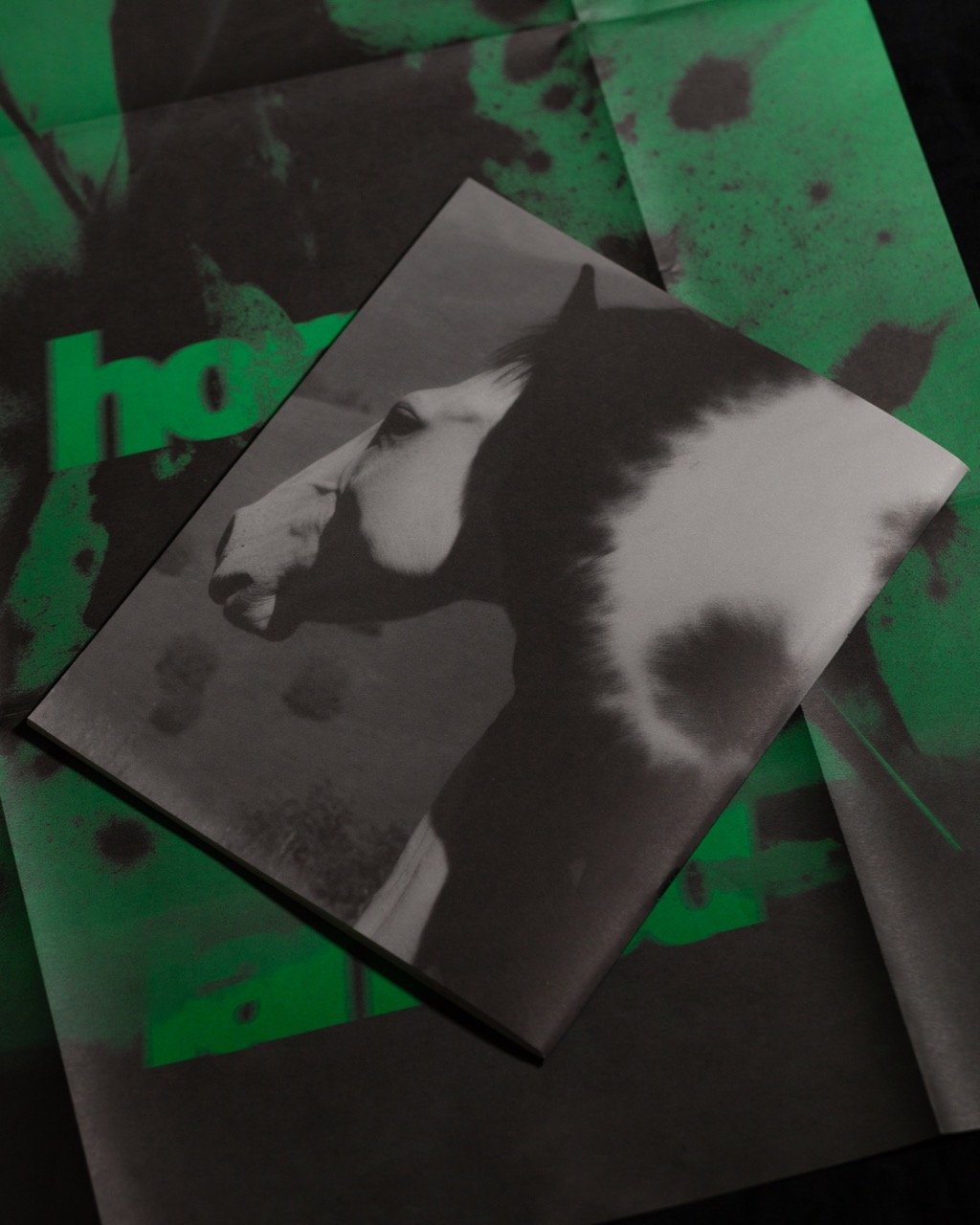 back_cover_with_poster.jpeg