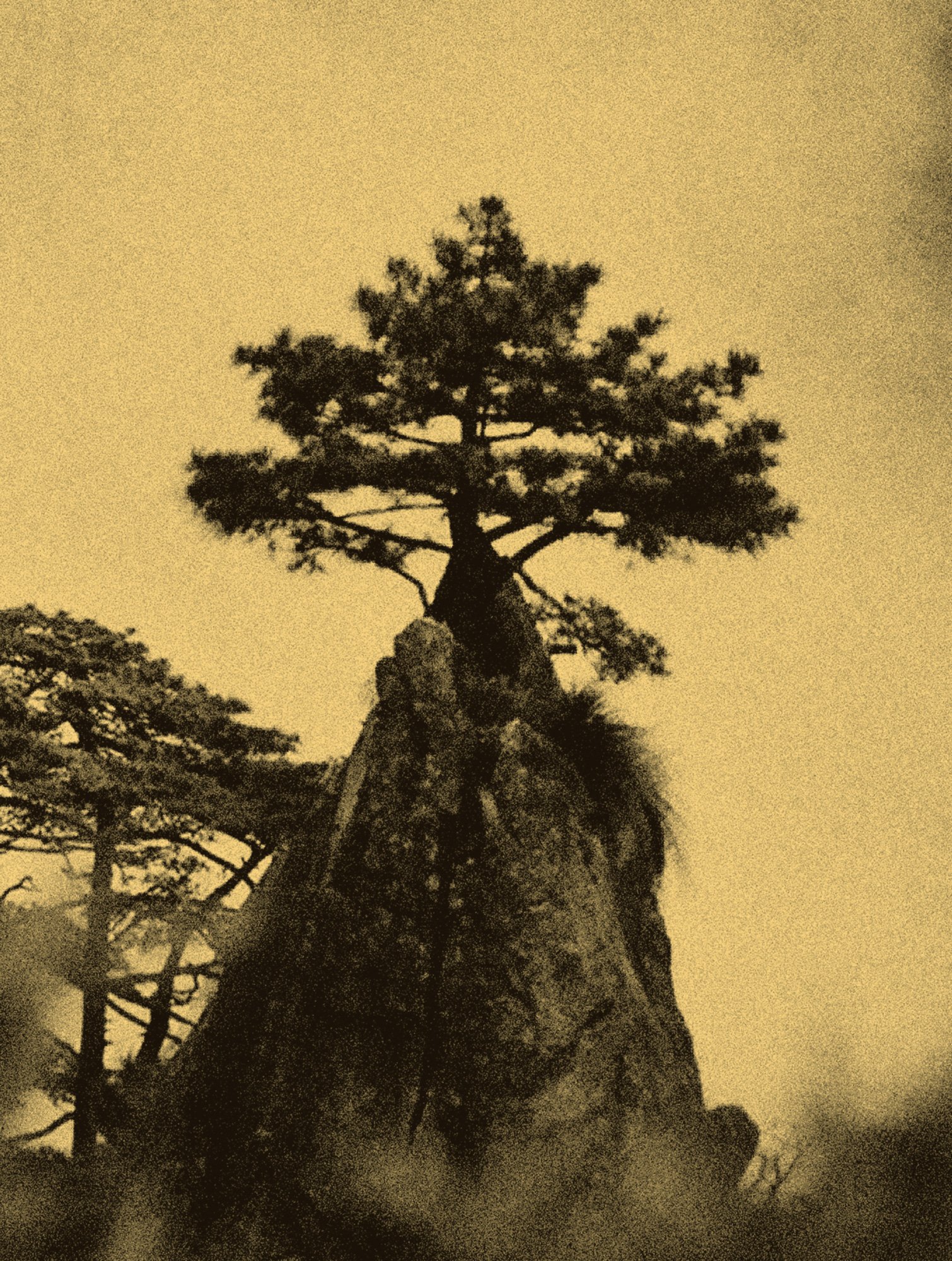 “Cloud and Stone” QIU Yangzi