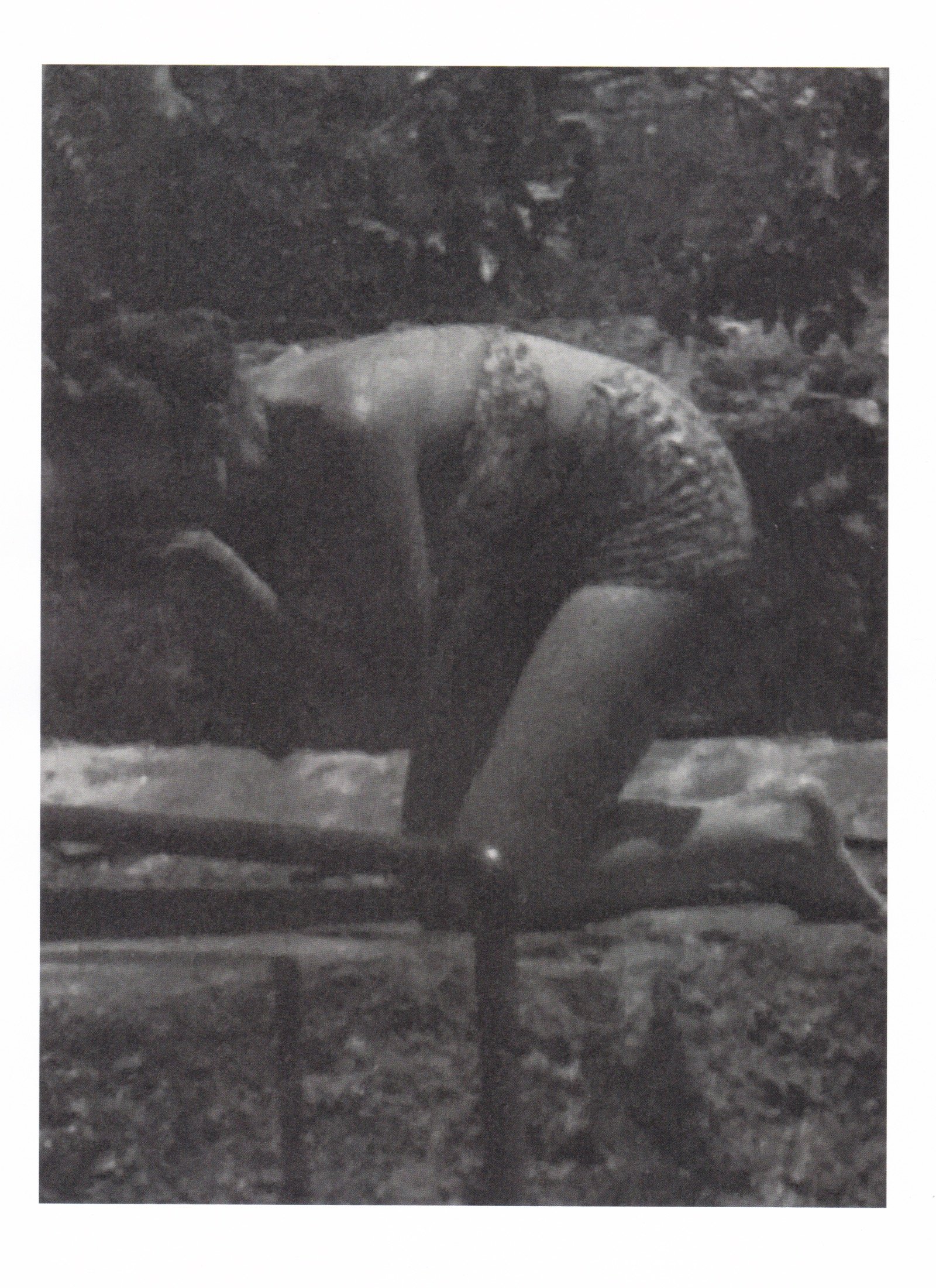 Scan 10.jpeg