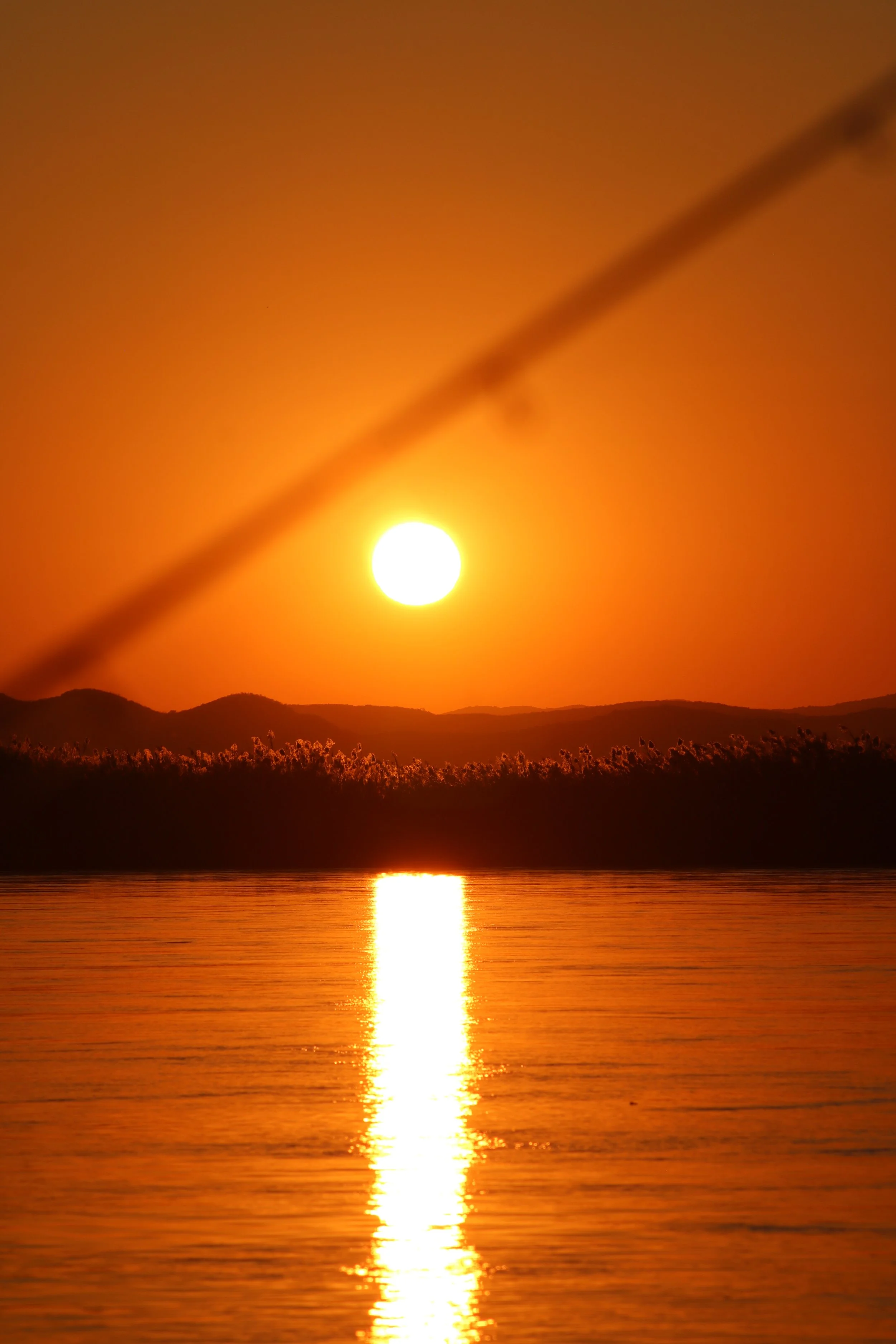 Zambezi sunset