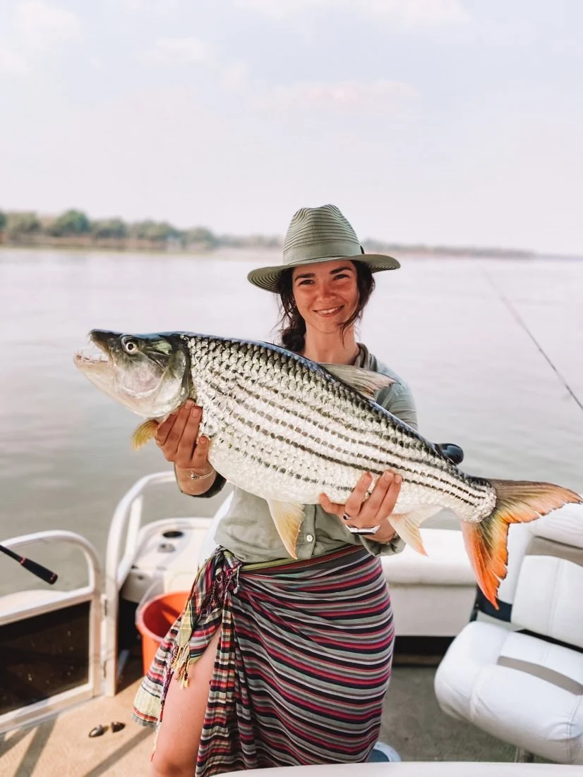 tiger fishing Zambezi