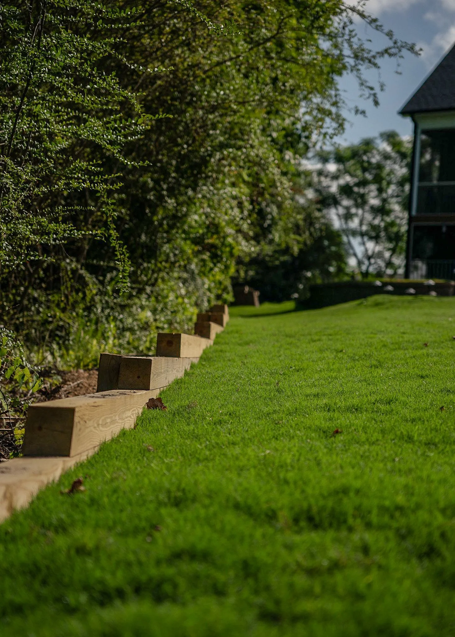 A landscaped yard with green grass, a wooden border, and trees along the edge. A house is visible in the background to the right.