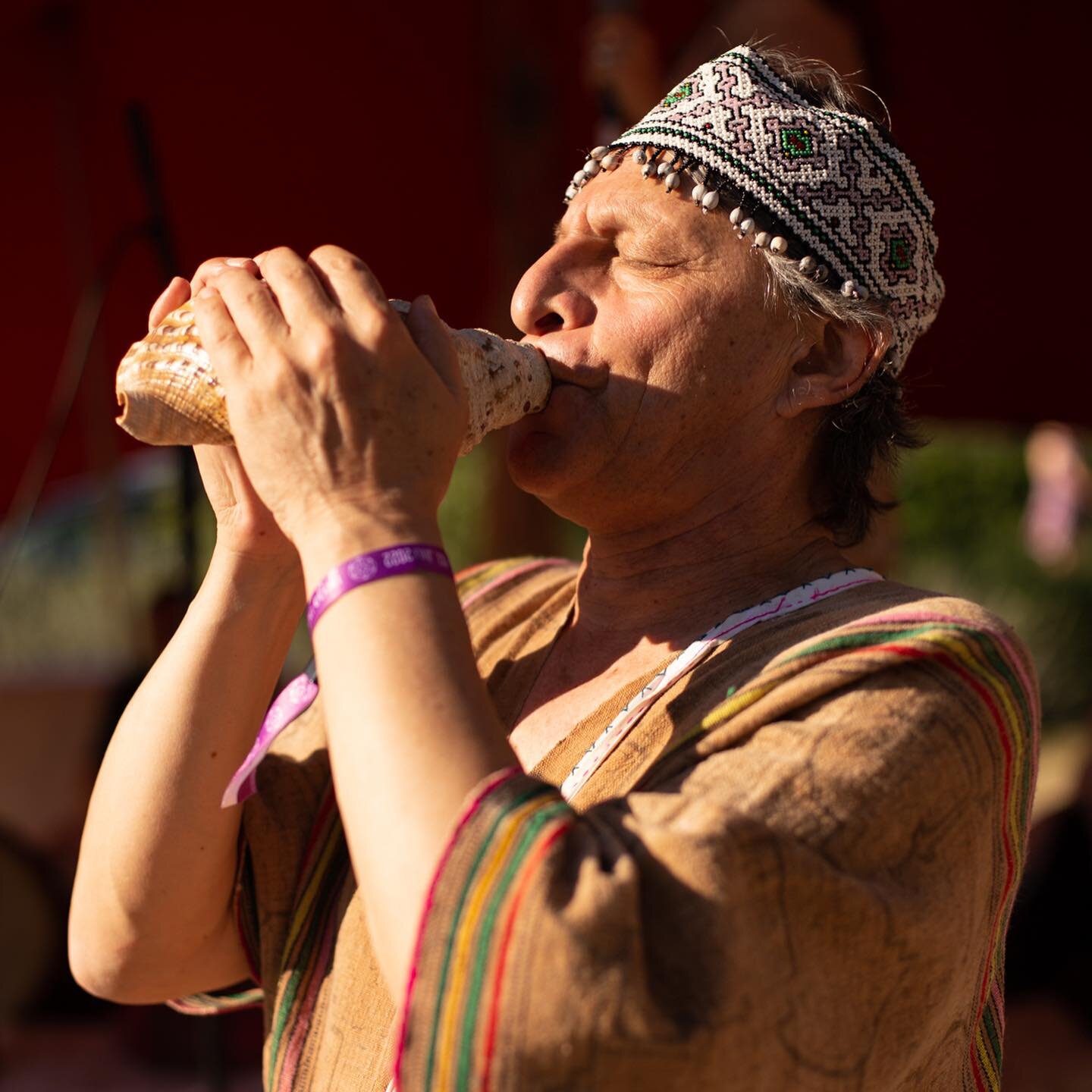 You are interested in Shamanic Cosmology and Medicine Music?

This week we are offering&nbsp;the unique opportunity to join us for one week of our Spirit of Sound Online training, with our dear Maestro and teacher, Wisdom Carrier from Per&uacute; @ki