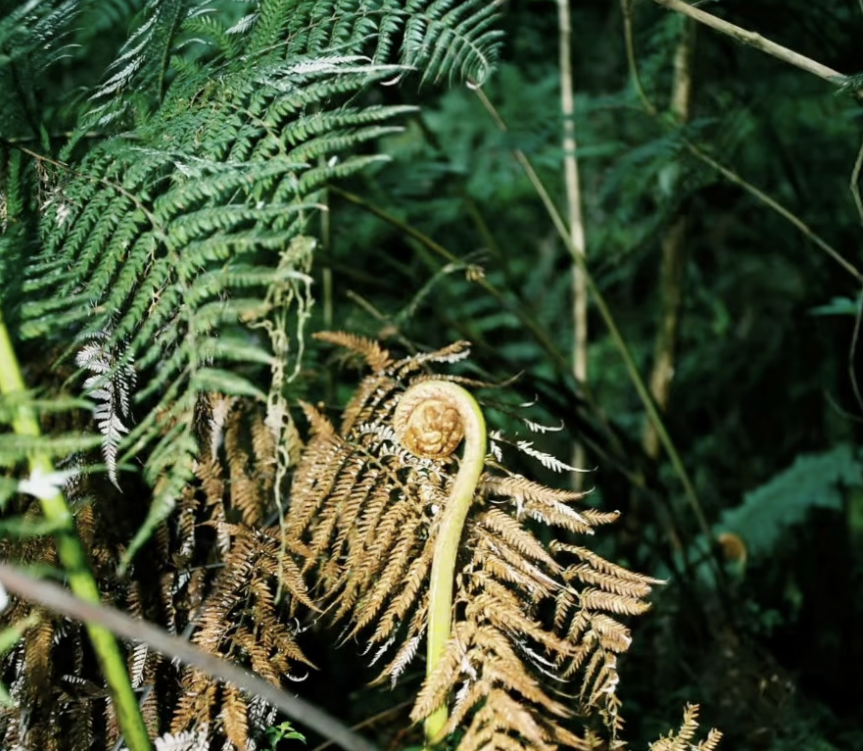 HER Installation by Alisa Reimer