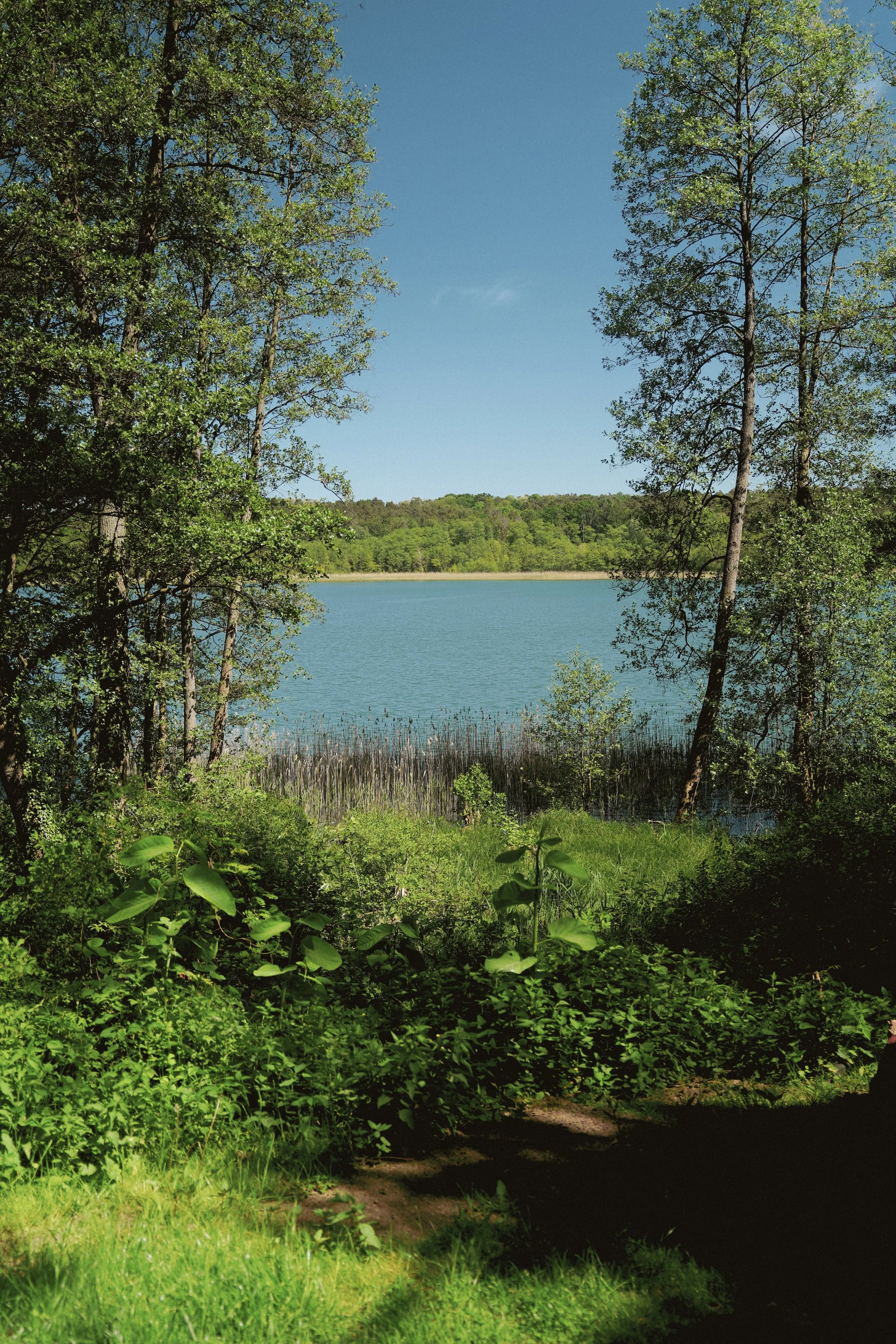 Temazcal Ceremony | Invisible Worlds